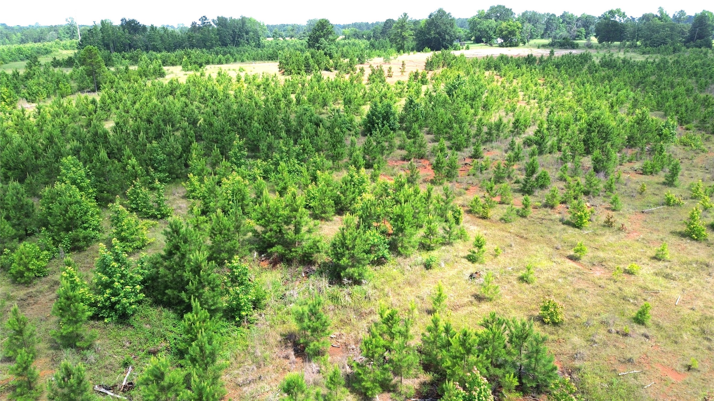 Tbd County Road 1830 Property Photo 16
