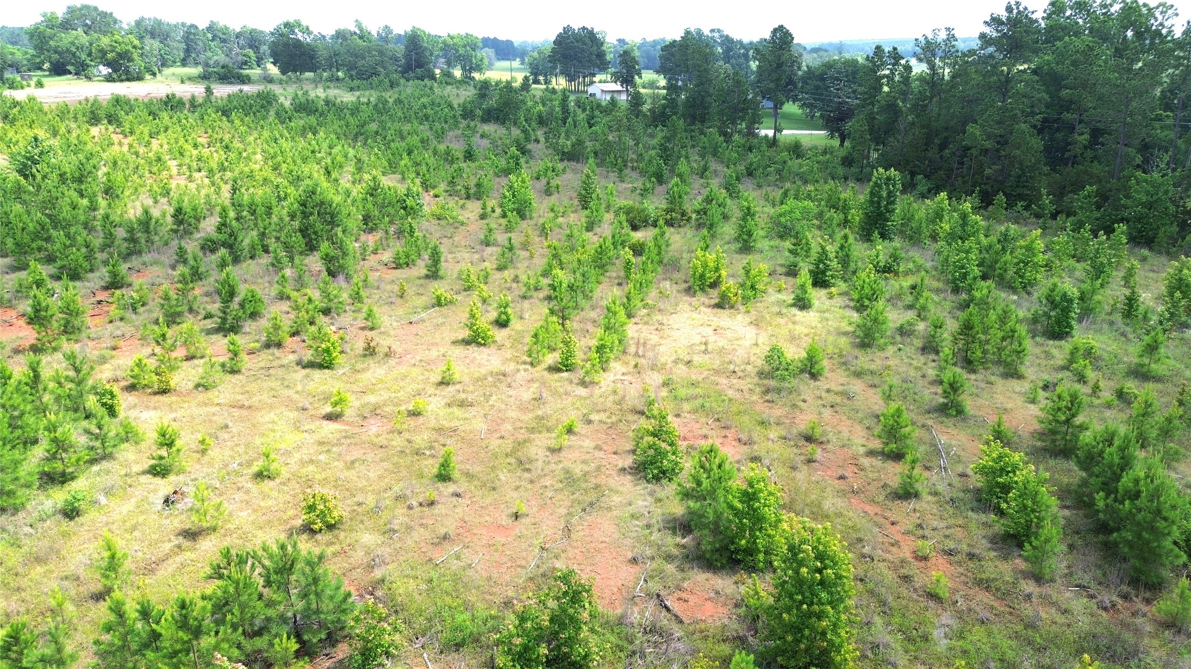 Tbd County Road 1830 Property Photo 17