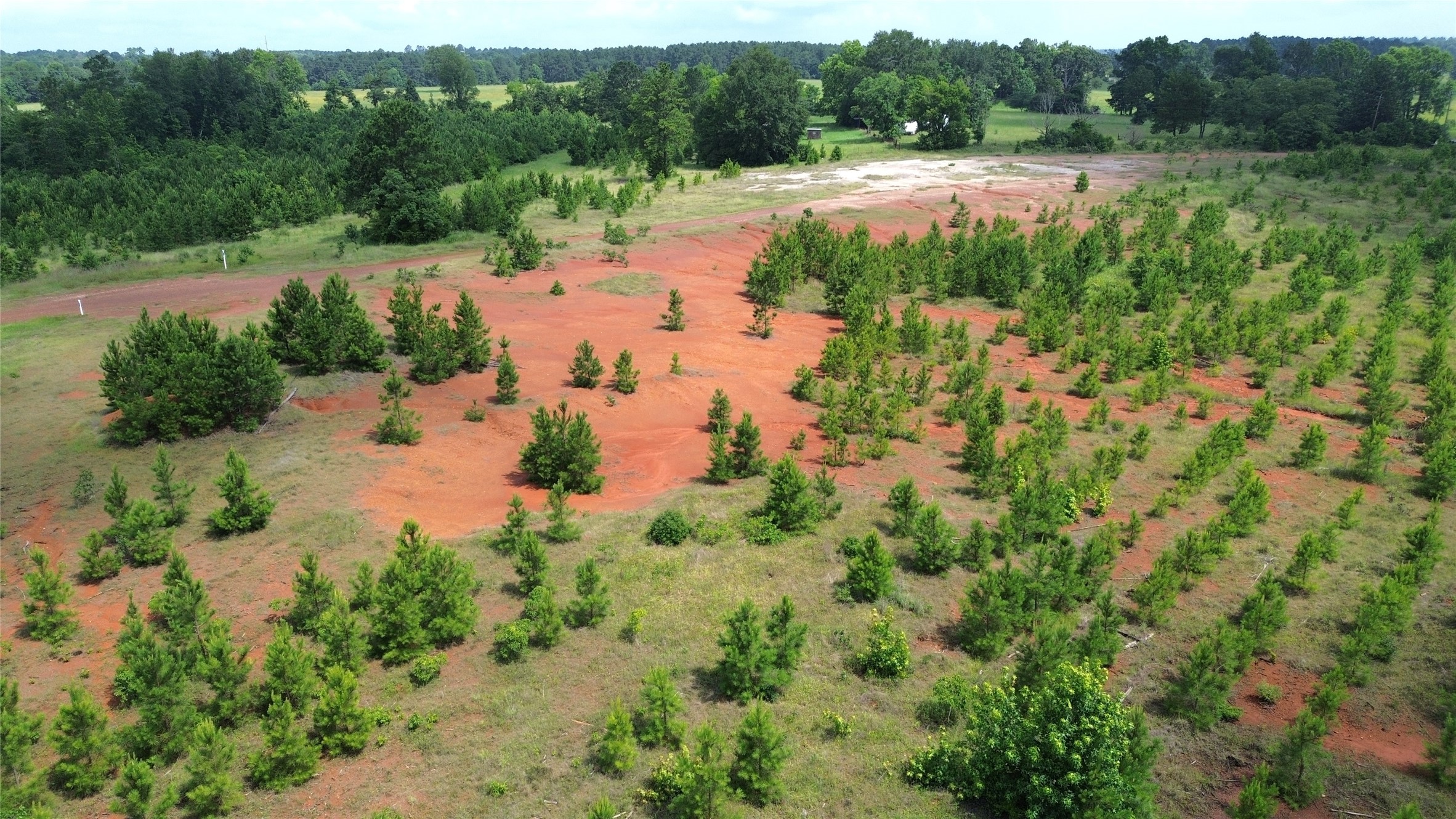 Tbd County Road 1830 Property Photo 19
