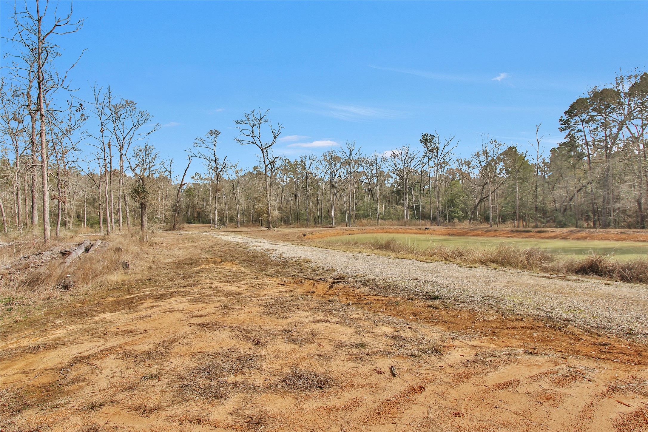 4206 Longhorn Drive Property Photo 5