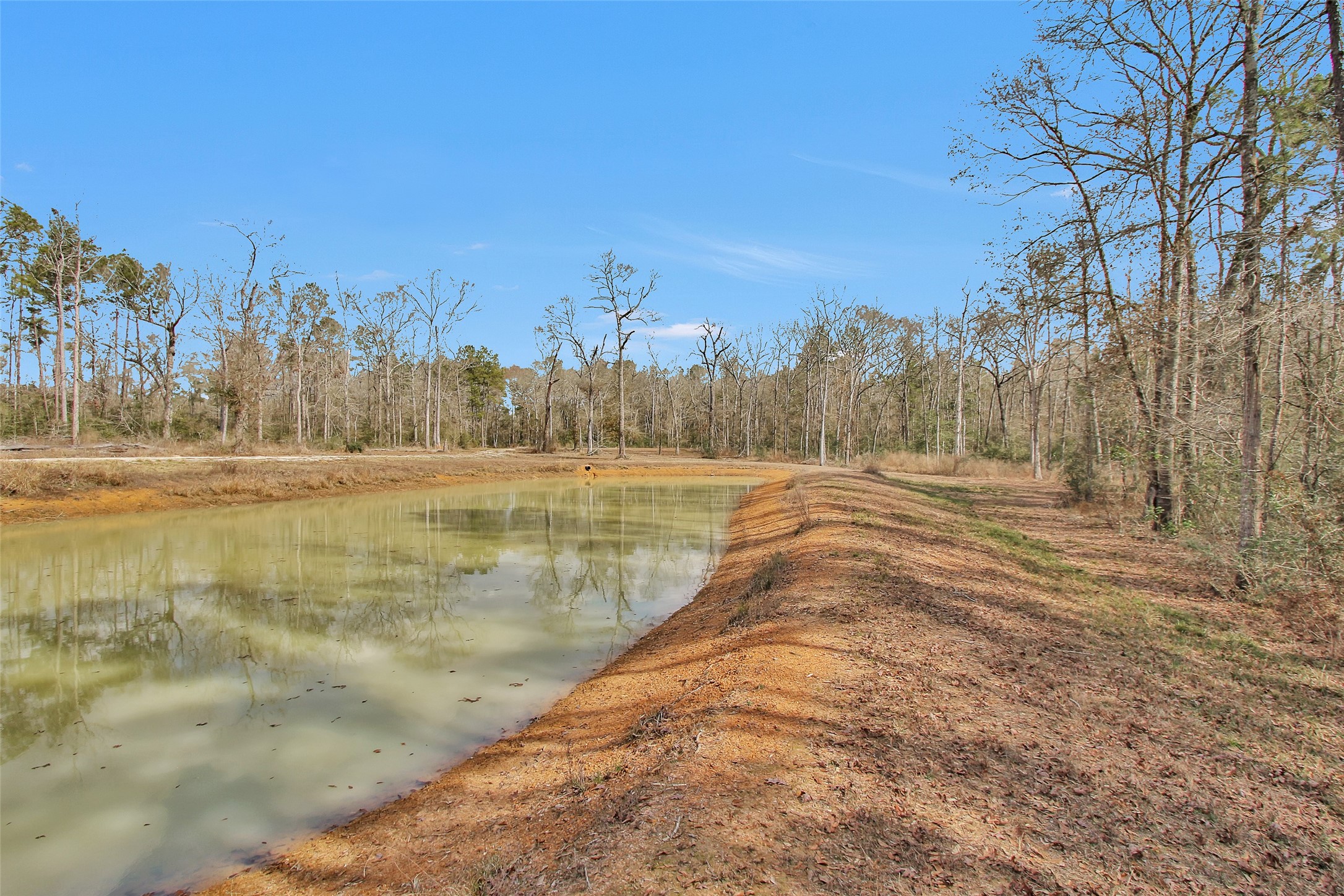 4206 Longhorn Drive Property Photo 12