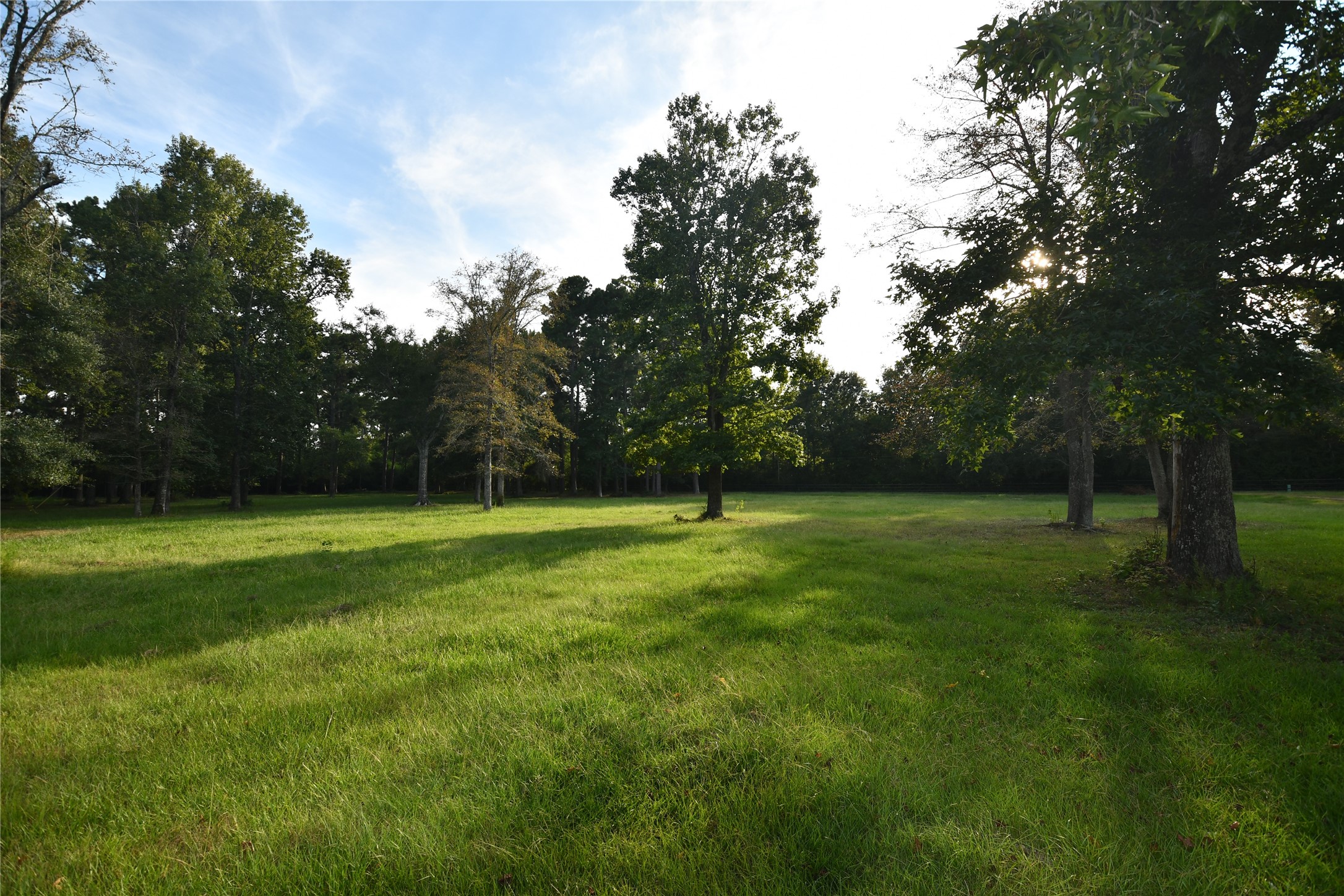 401 County Road 2226 Property Photo 3