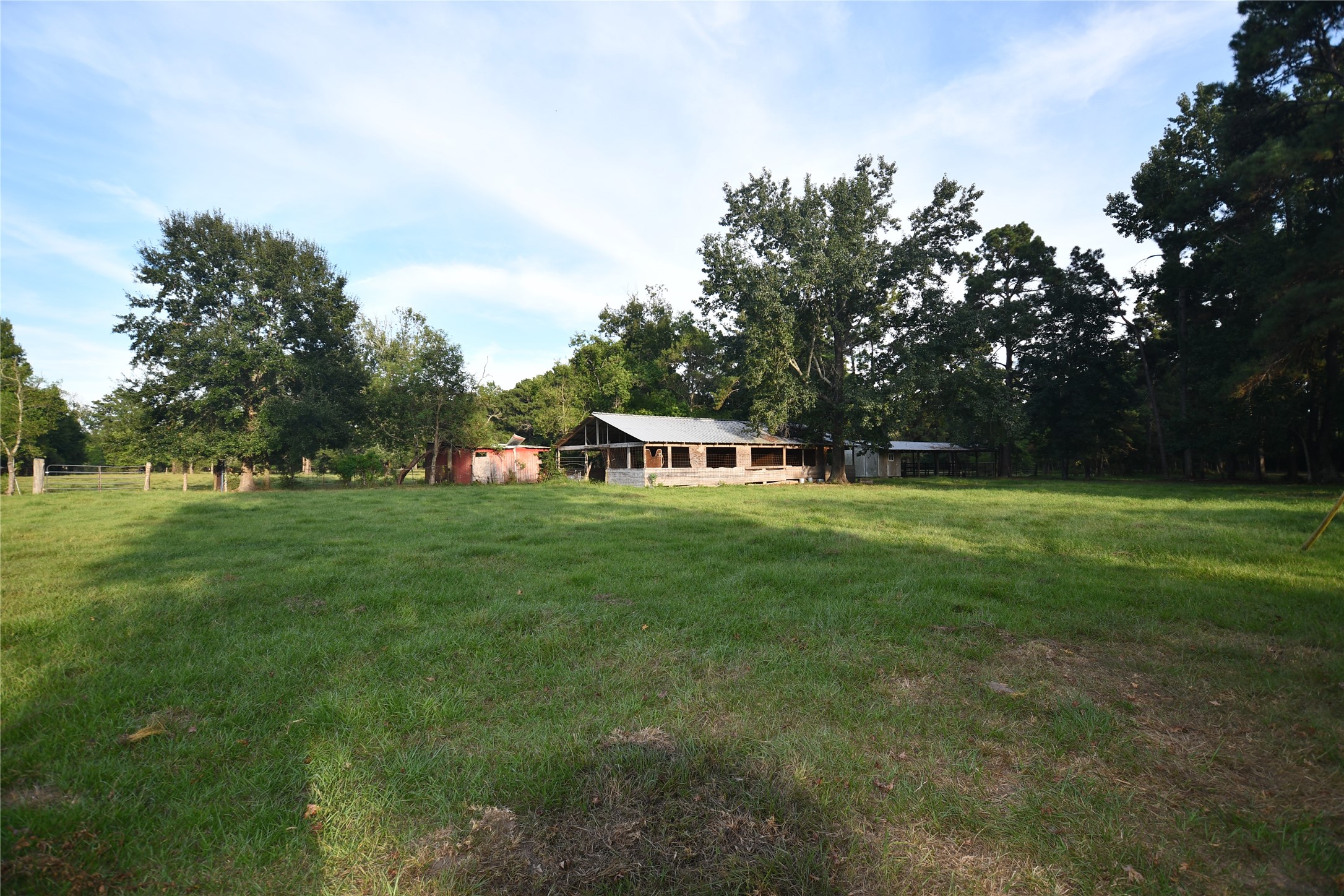 401 County Road 2226 Property Photo 11