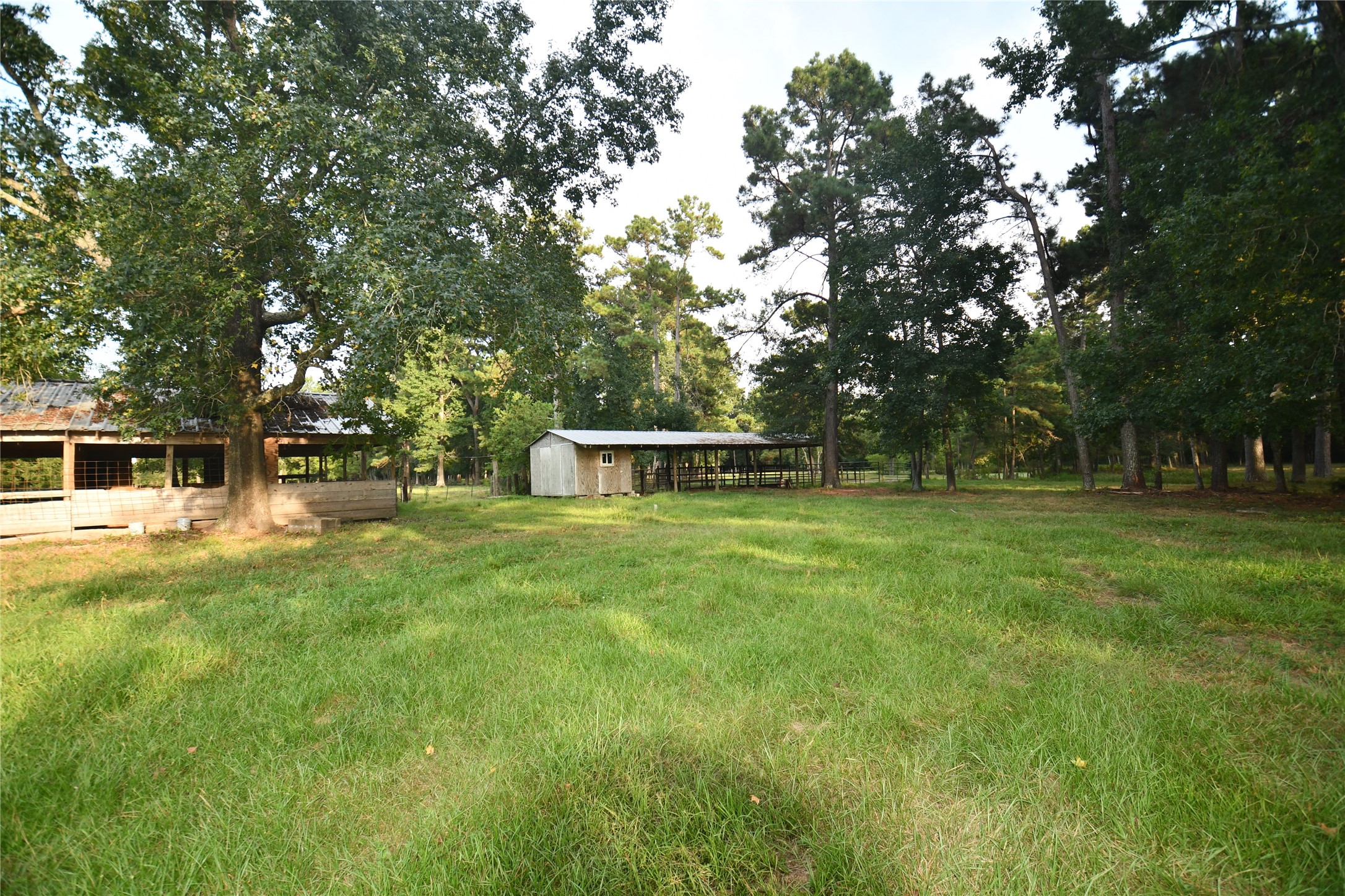 401 County Road 2226 Property Photo 12