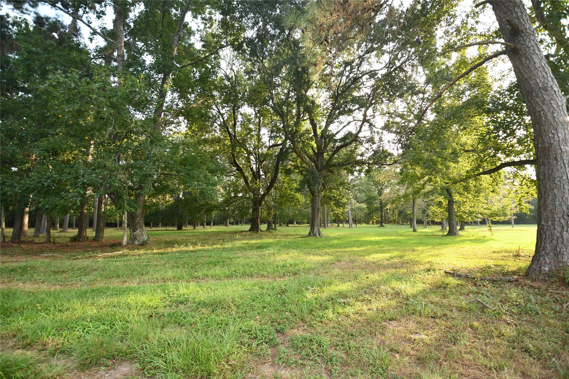 401 County Road 2226 Property Photo 13