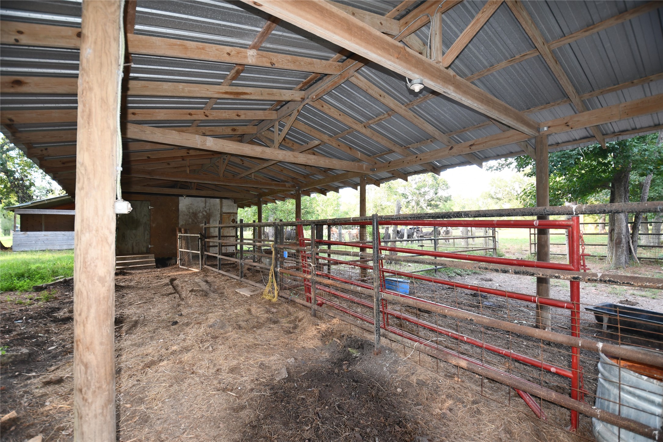401 County Road 2226 Property Photo 18