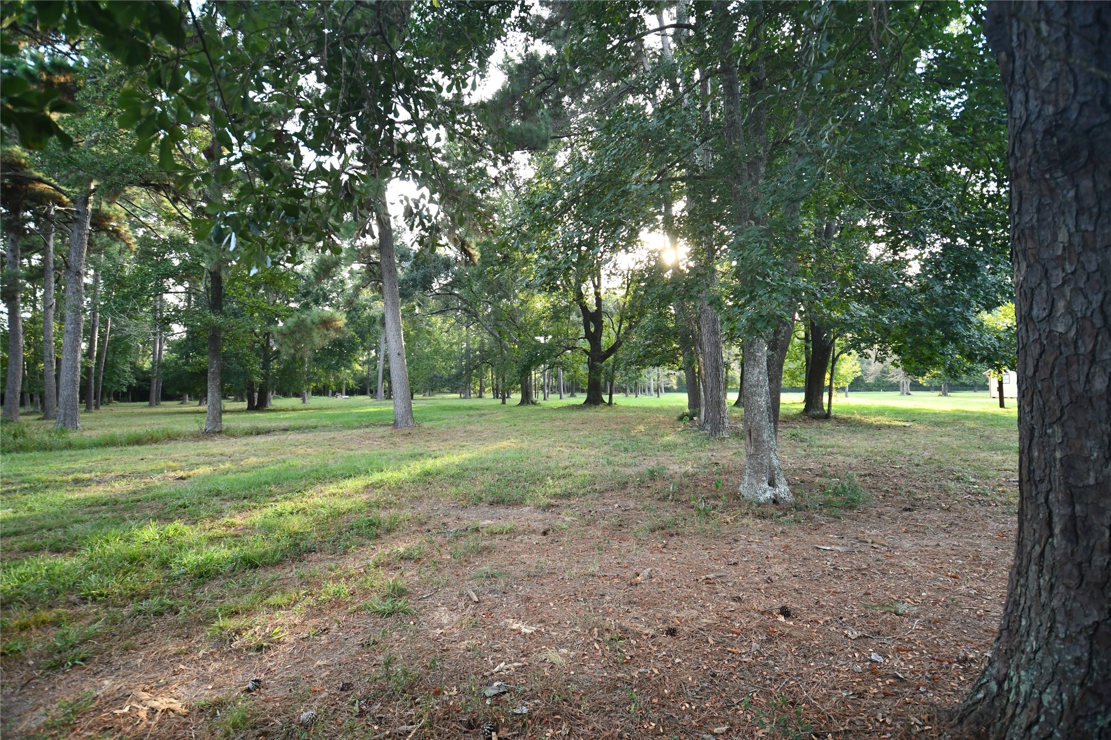 401 County Road 2226 Property Photo 19
