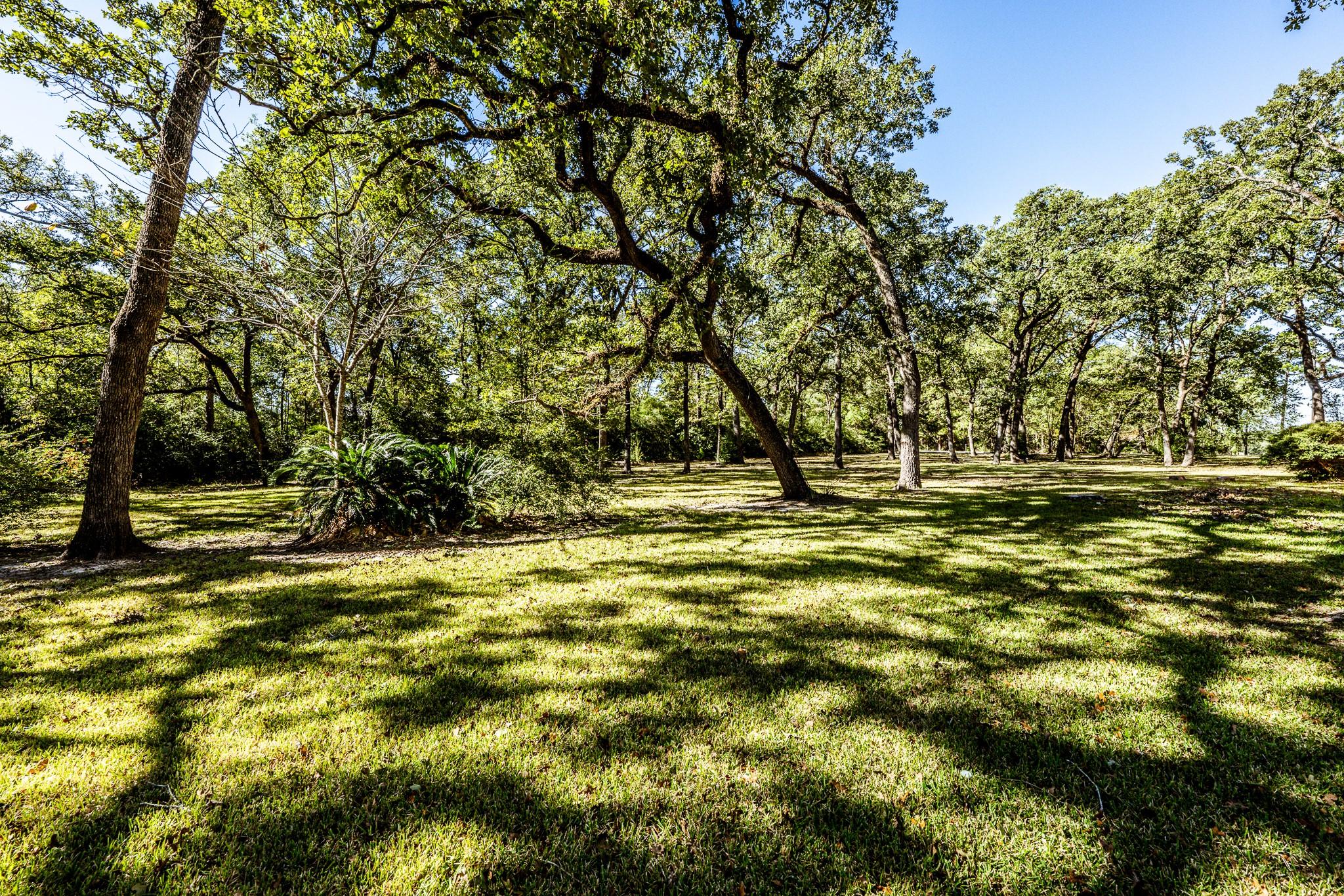 718 Fm 980 Road Property Photo 25