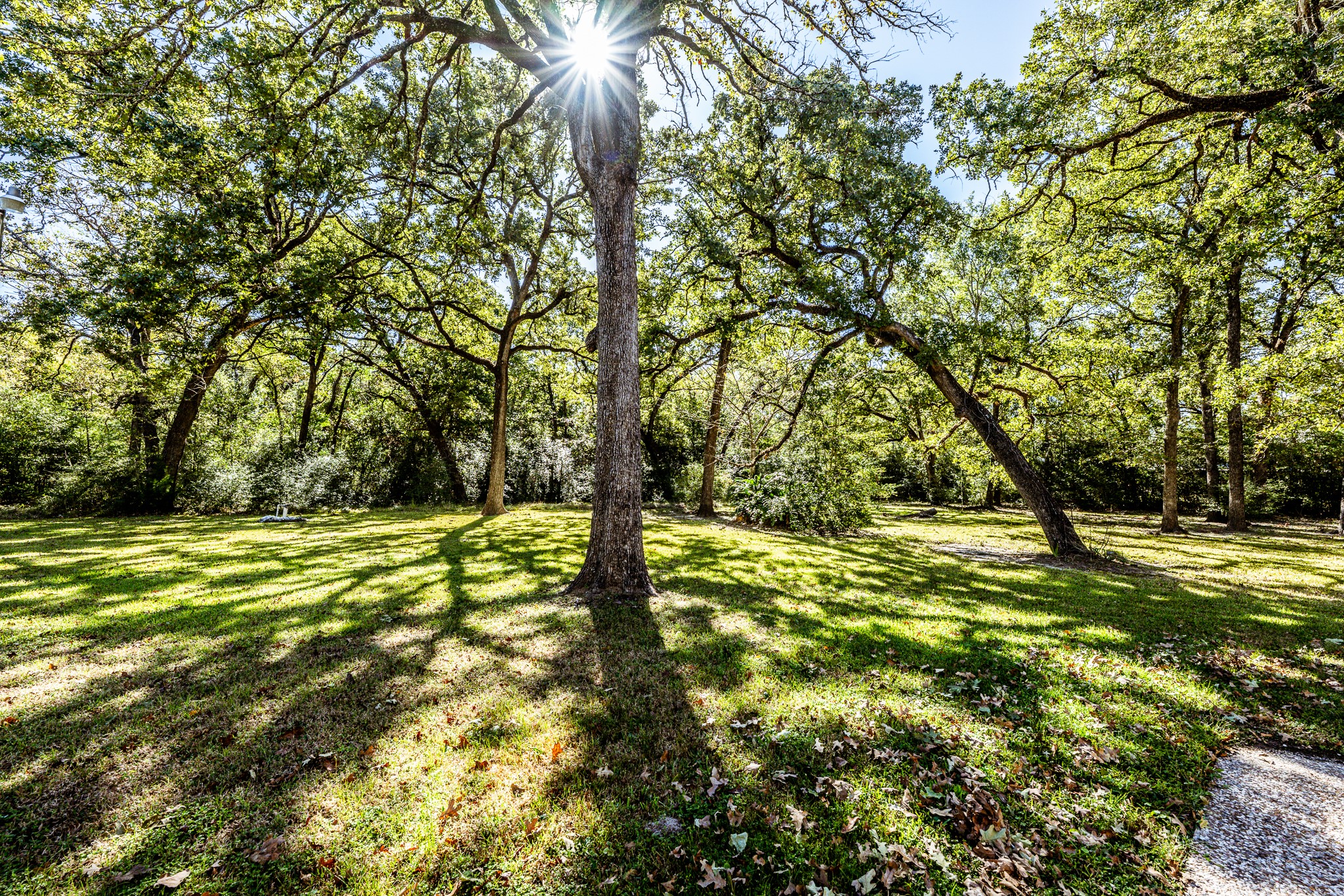 718 Fm 980 Road Property Photo 26