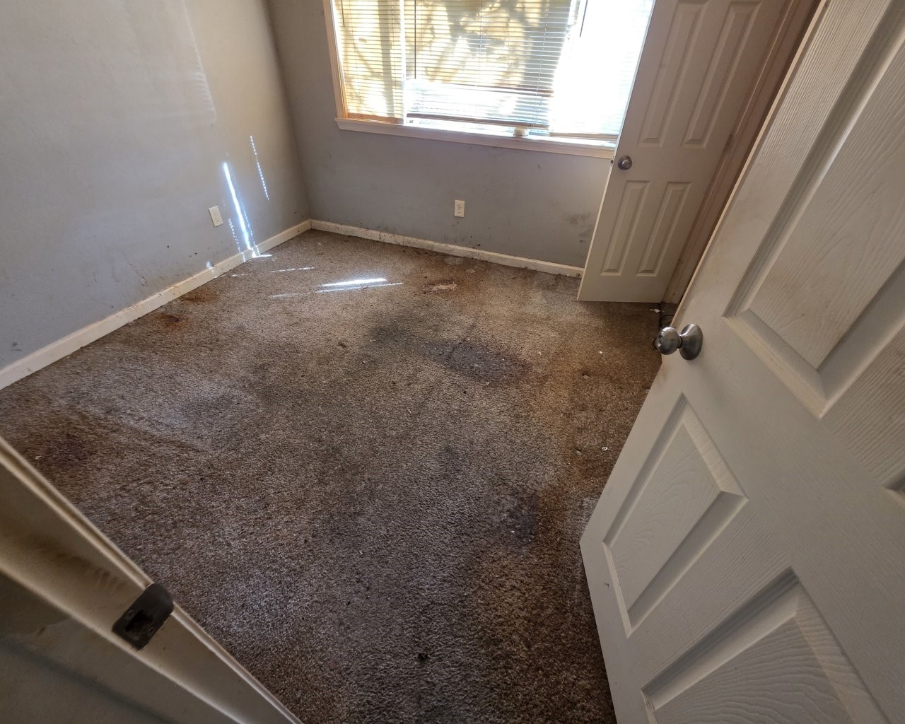 5503 Rue Street Property Photo 9