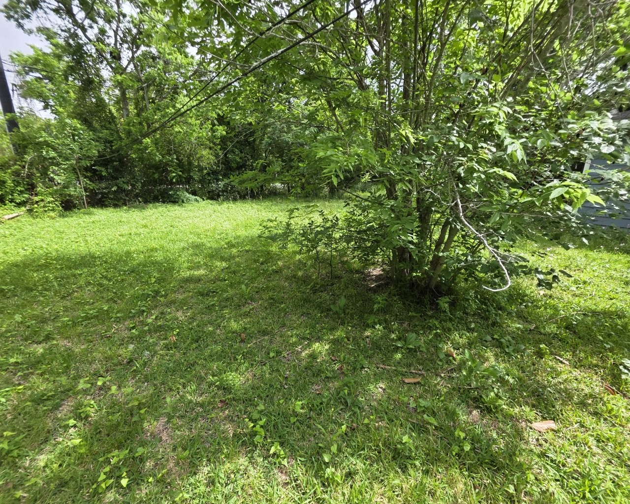 5503 Rue Street Property Photo 14