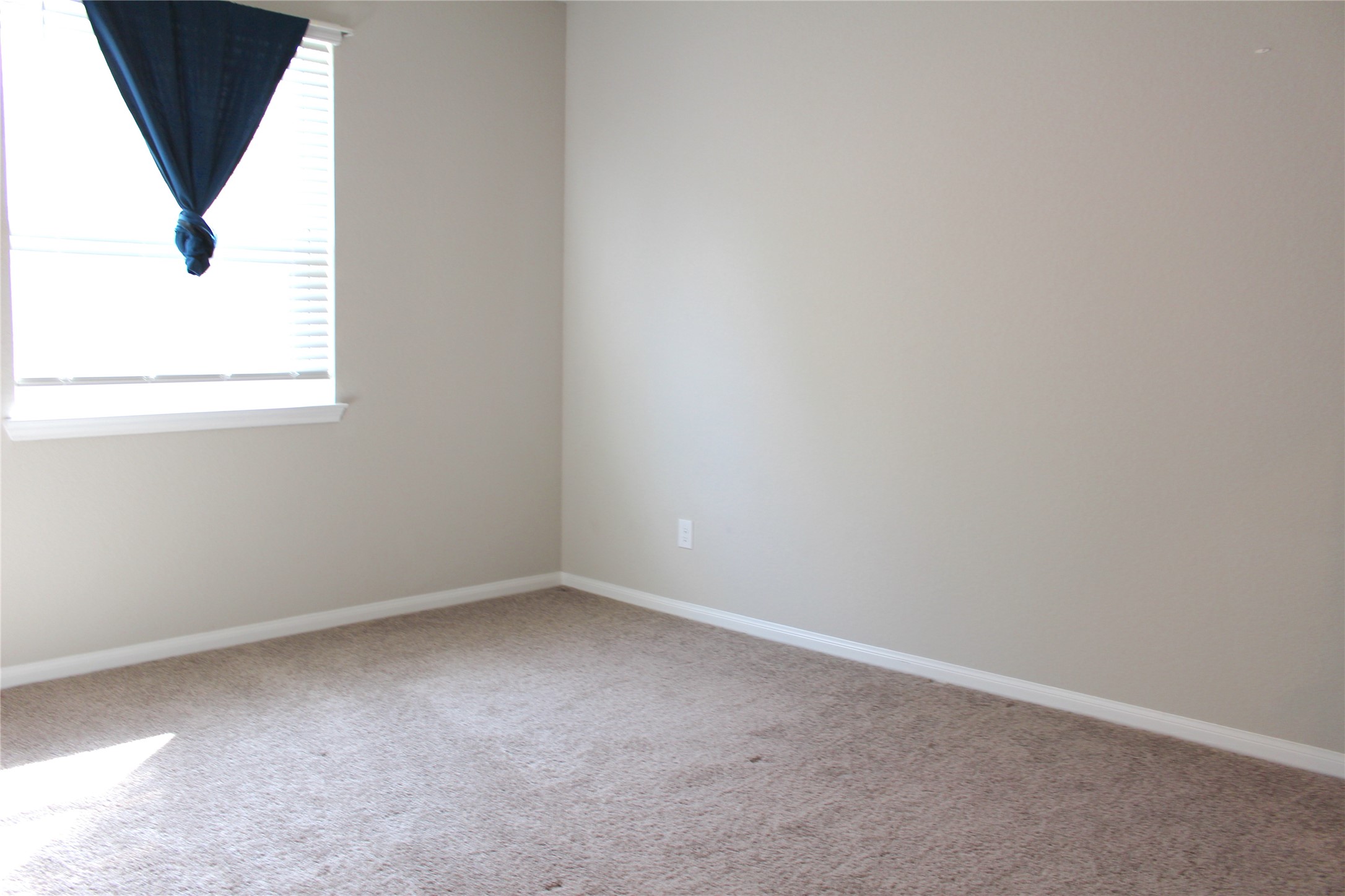 1421 Promise Court Property Photo 13