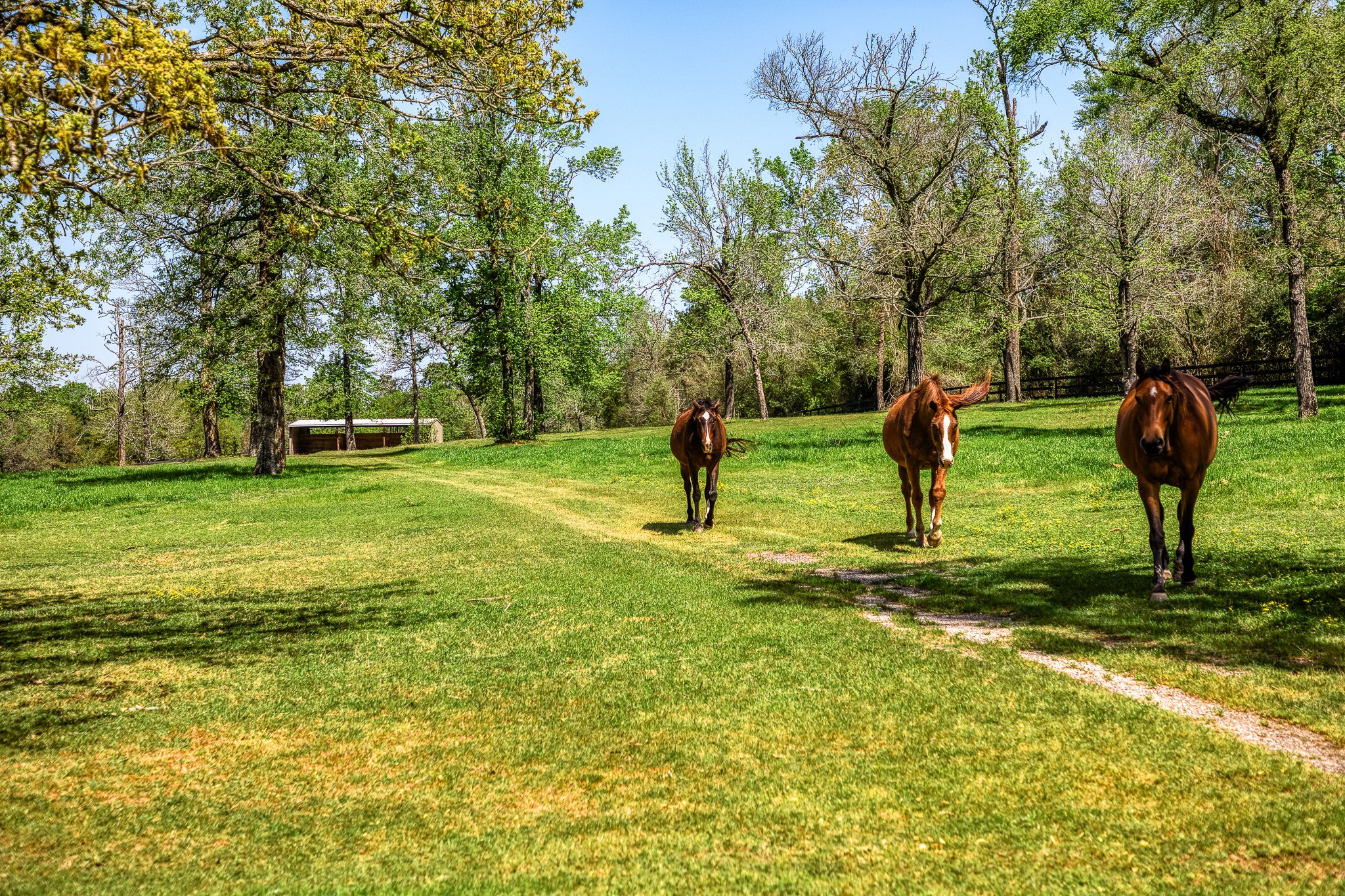 714 Superior Road Property Photo