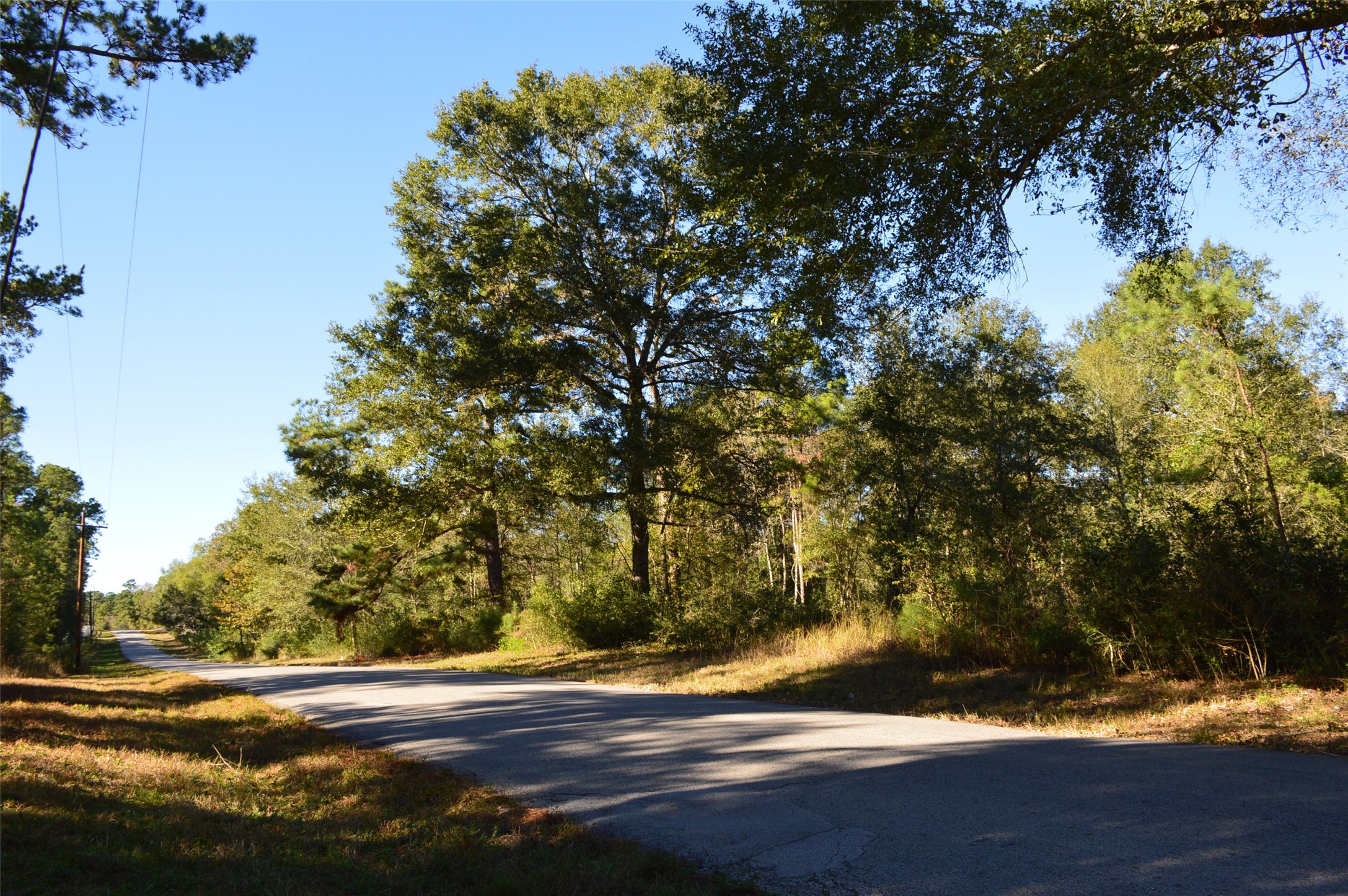 Tract #2 County Road 302 Property Photo 1