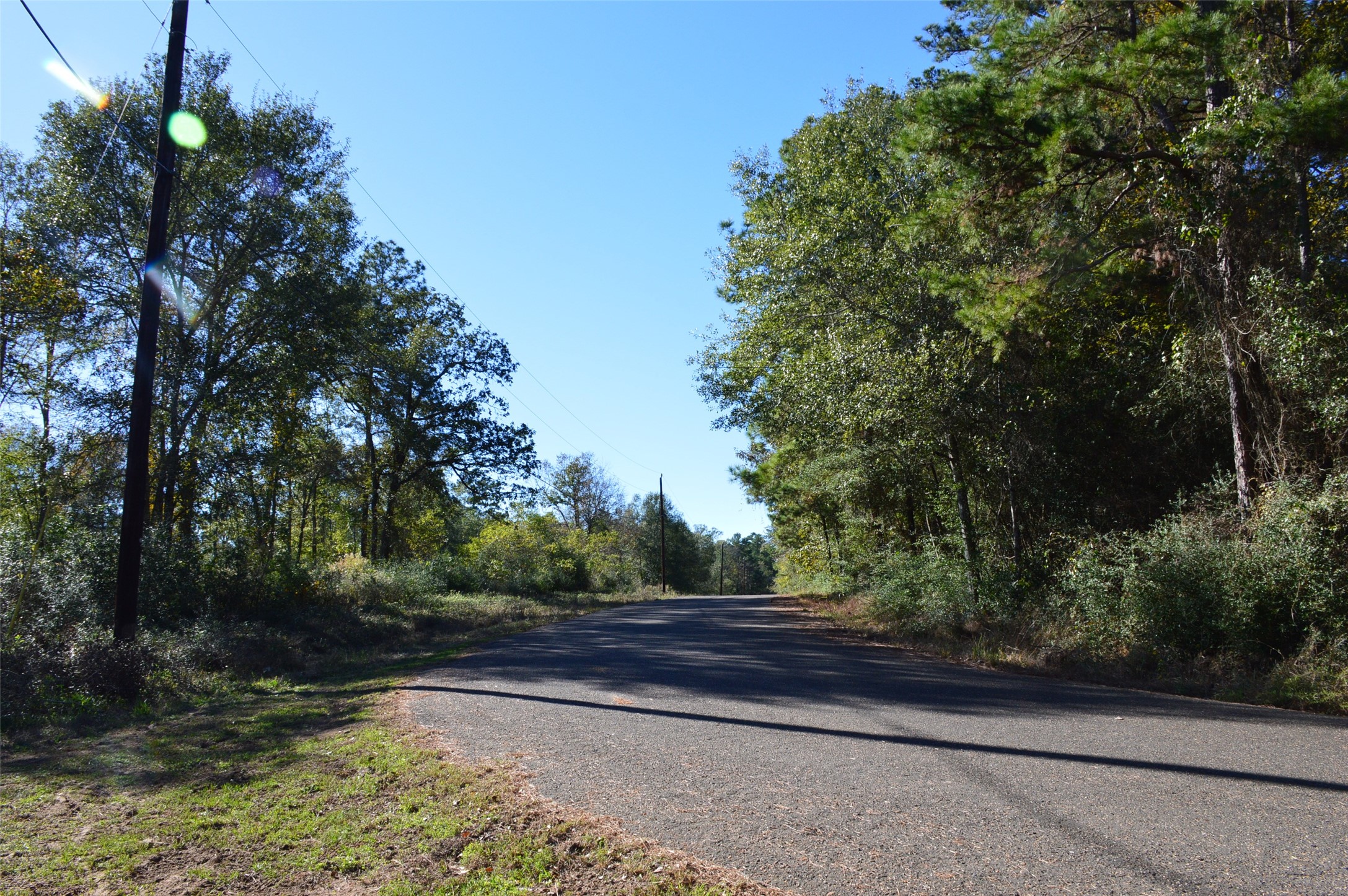 Tract #2 County Road 302 Property Photo 4