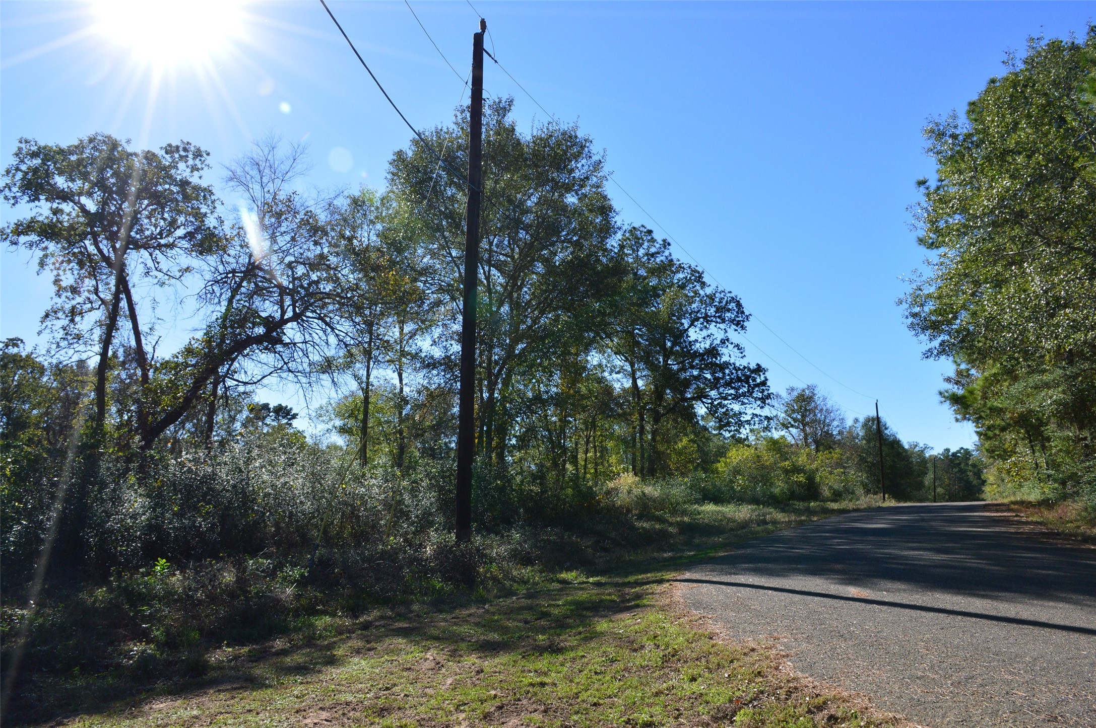 Tract #2 County Road 302 Property Photo 5