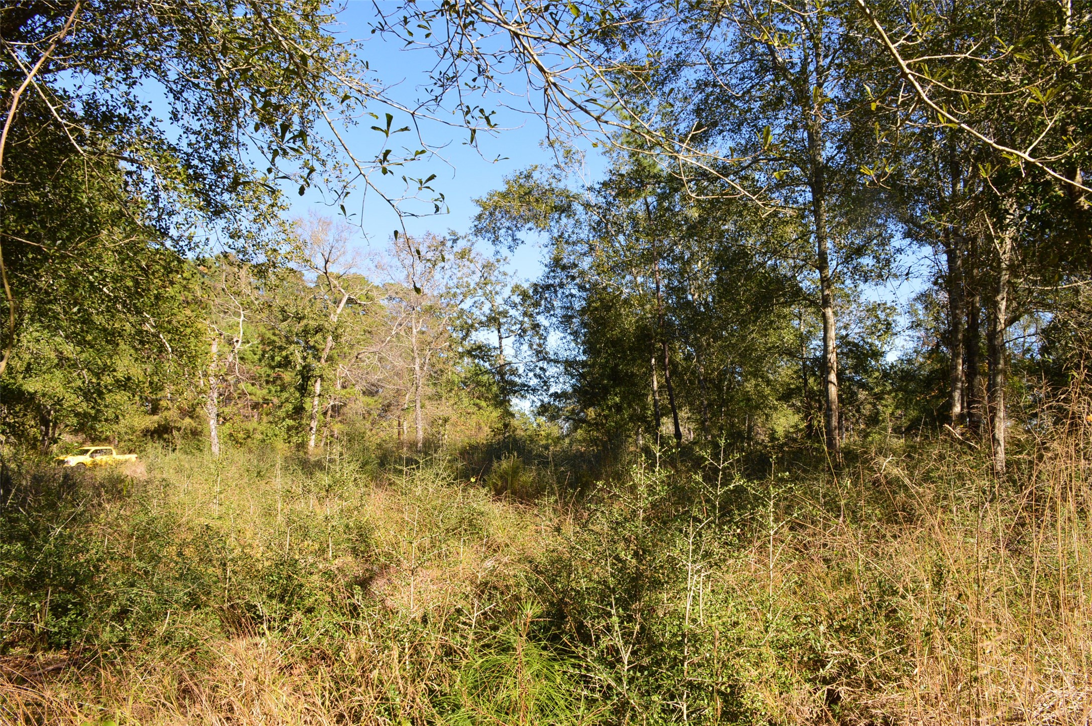 Tract #2 County Road 302 Property Photo 20