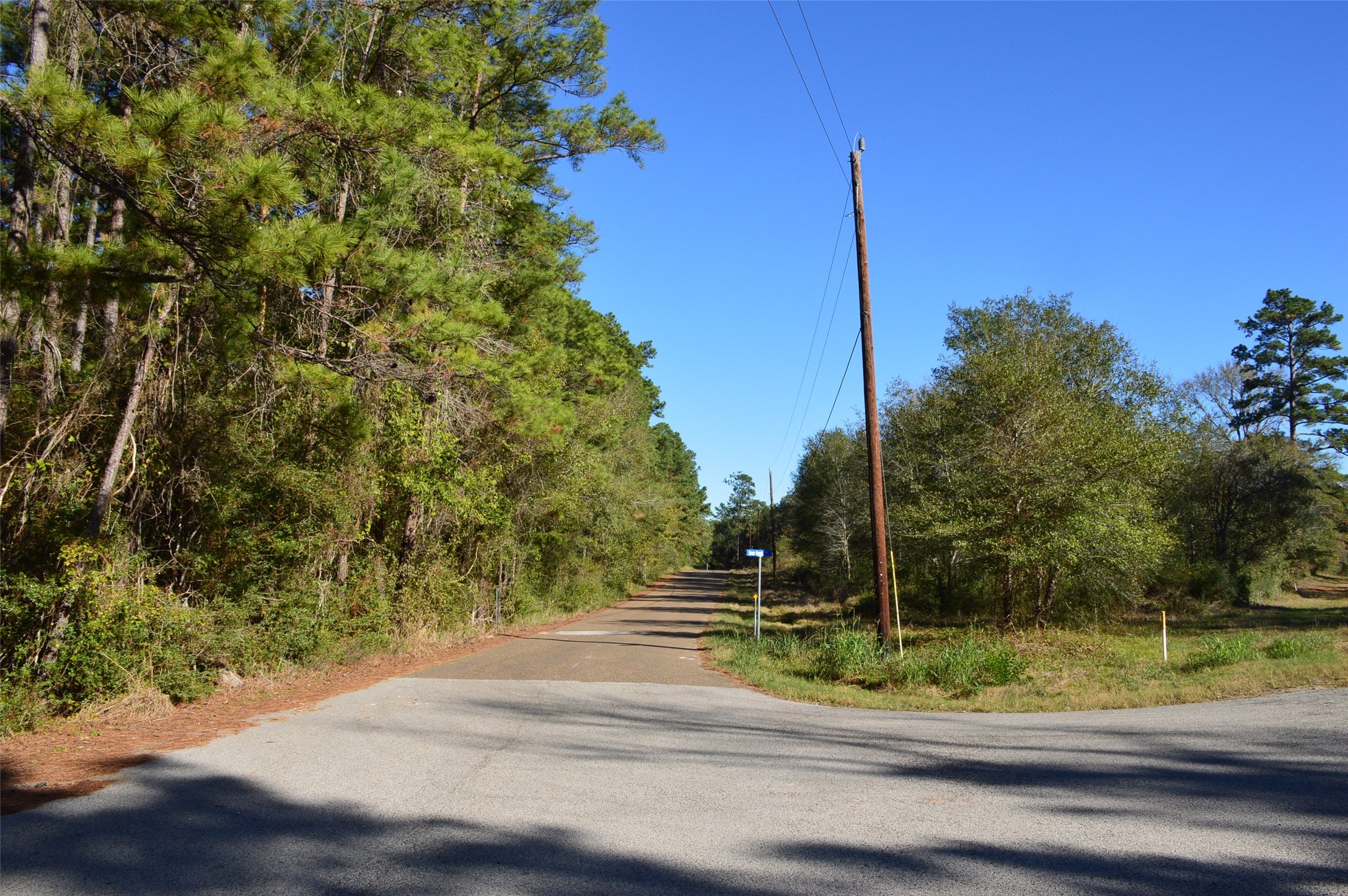 Tract #2 County Road 302 Property Photo 23