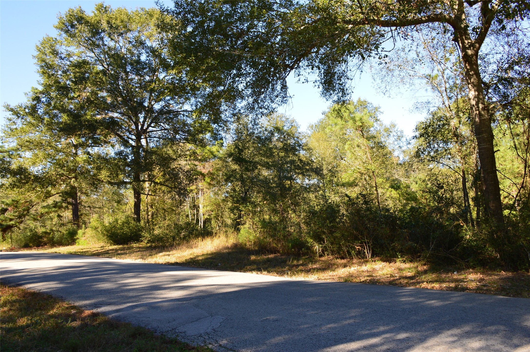 Tract #2 County Road 302 Property Photo 24