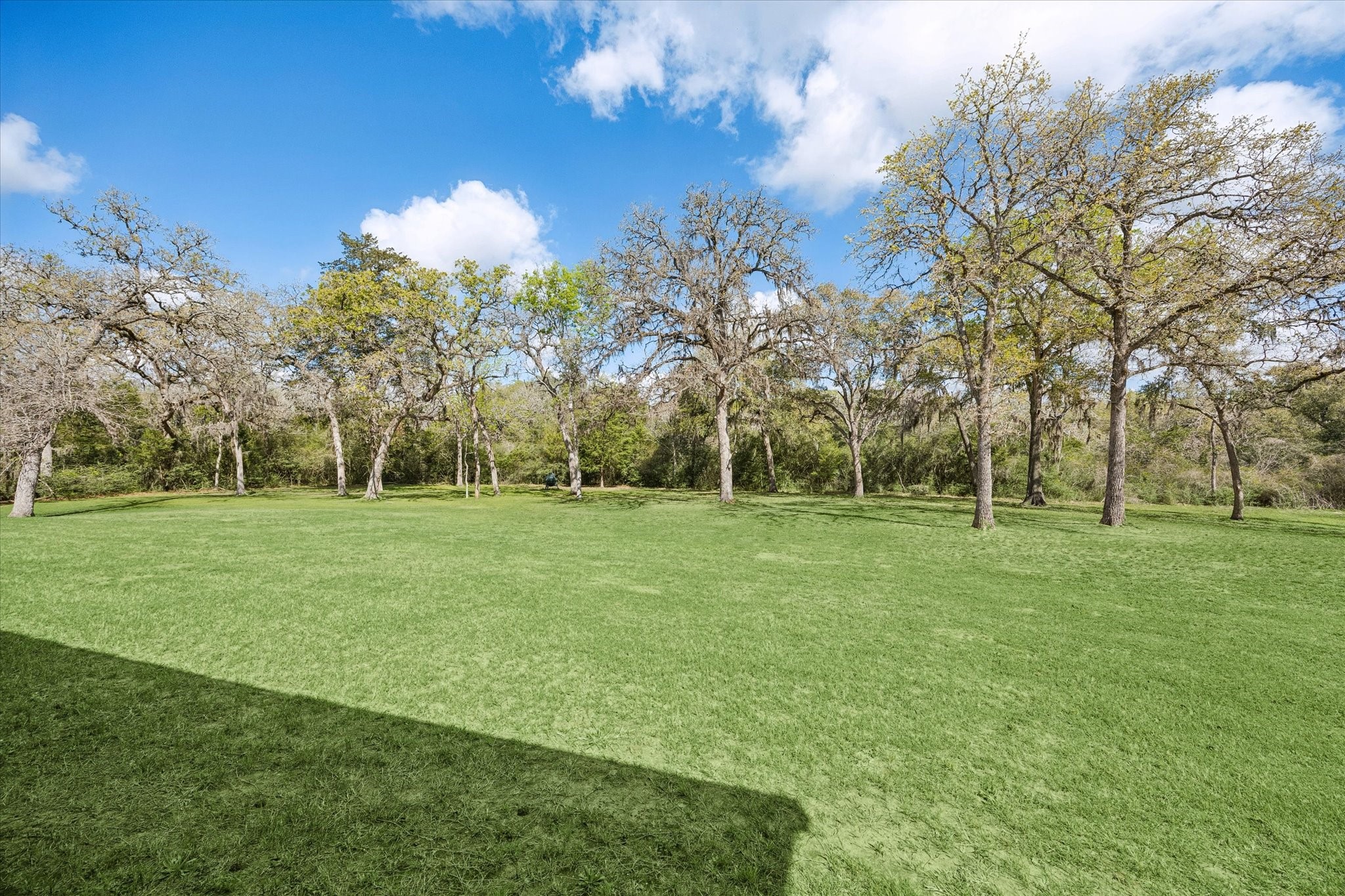 1058 Fm 1890 Property Photo 32