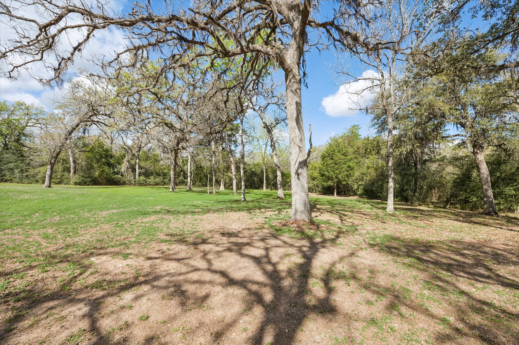 1058 Fm 1890 Property Photo 33