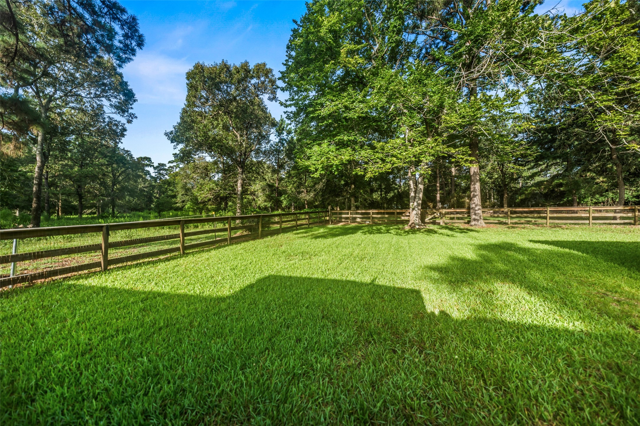 14828 County Road 304 Property Photo 40