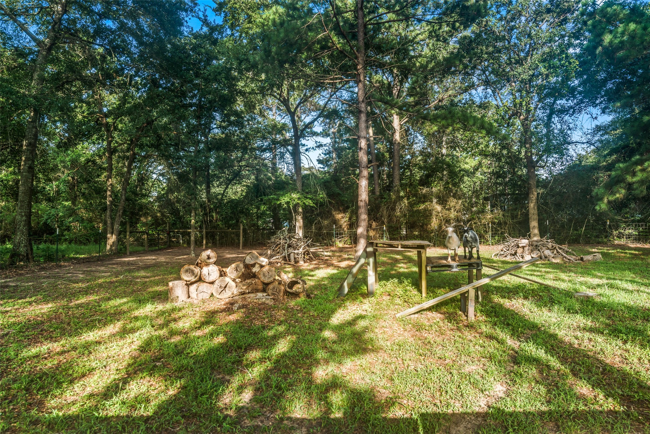 14828 County Road 304 Property Photo 42