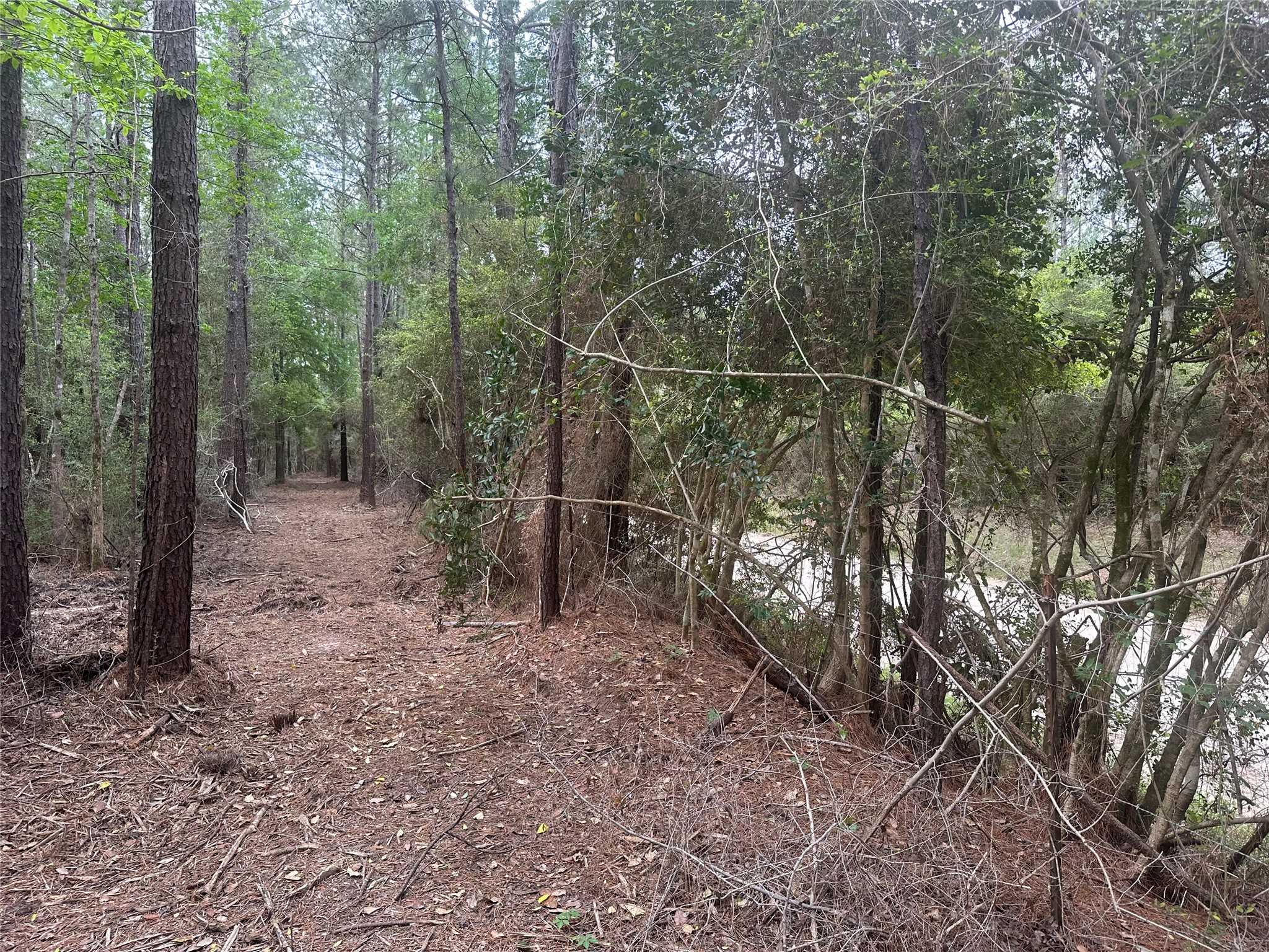 Tbd Cr 3114 Property Photo 2