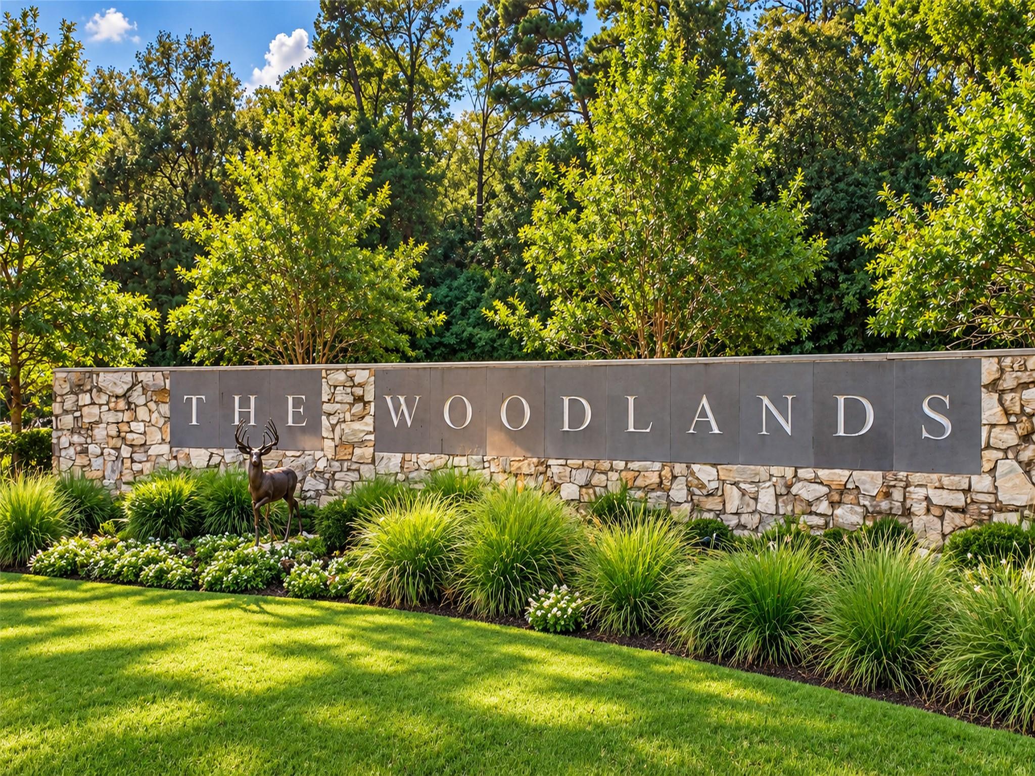 54 Riva Row, The Woodlands Tx 77380 Property Photo 43