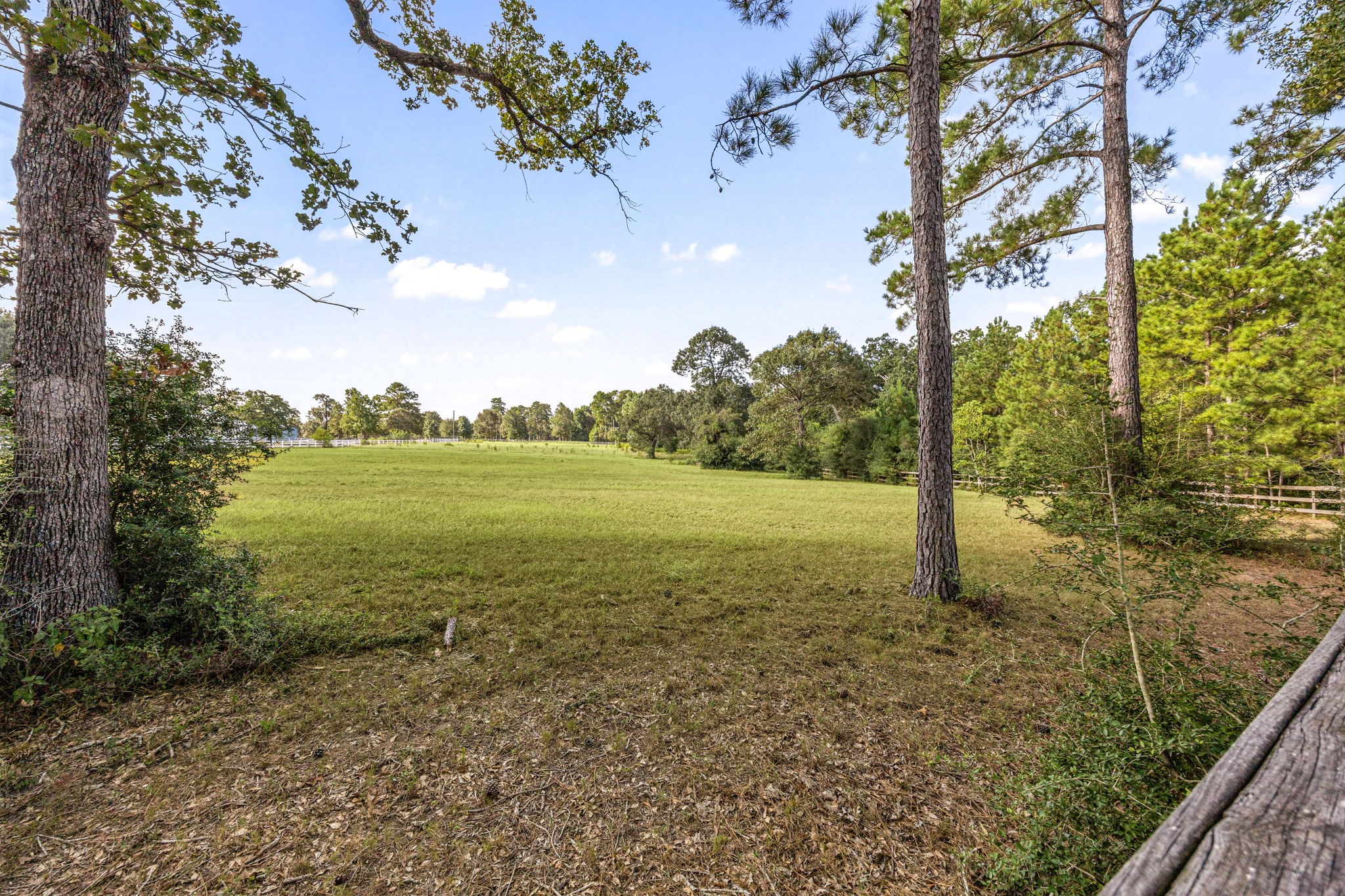 29212 Village Bend Property Photo 2