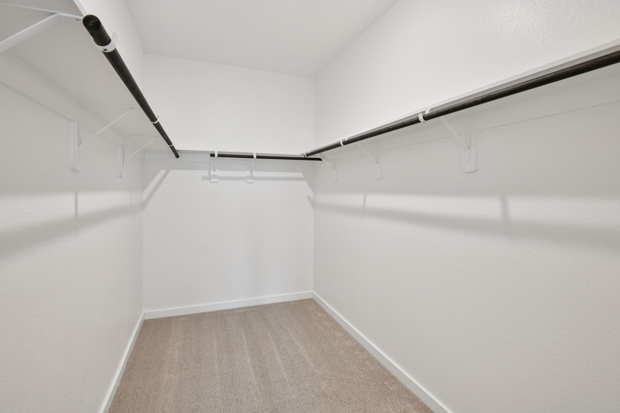 2546 Cactus Ranch Lane Property Photo 22