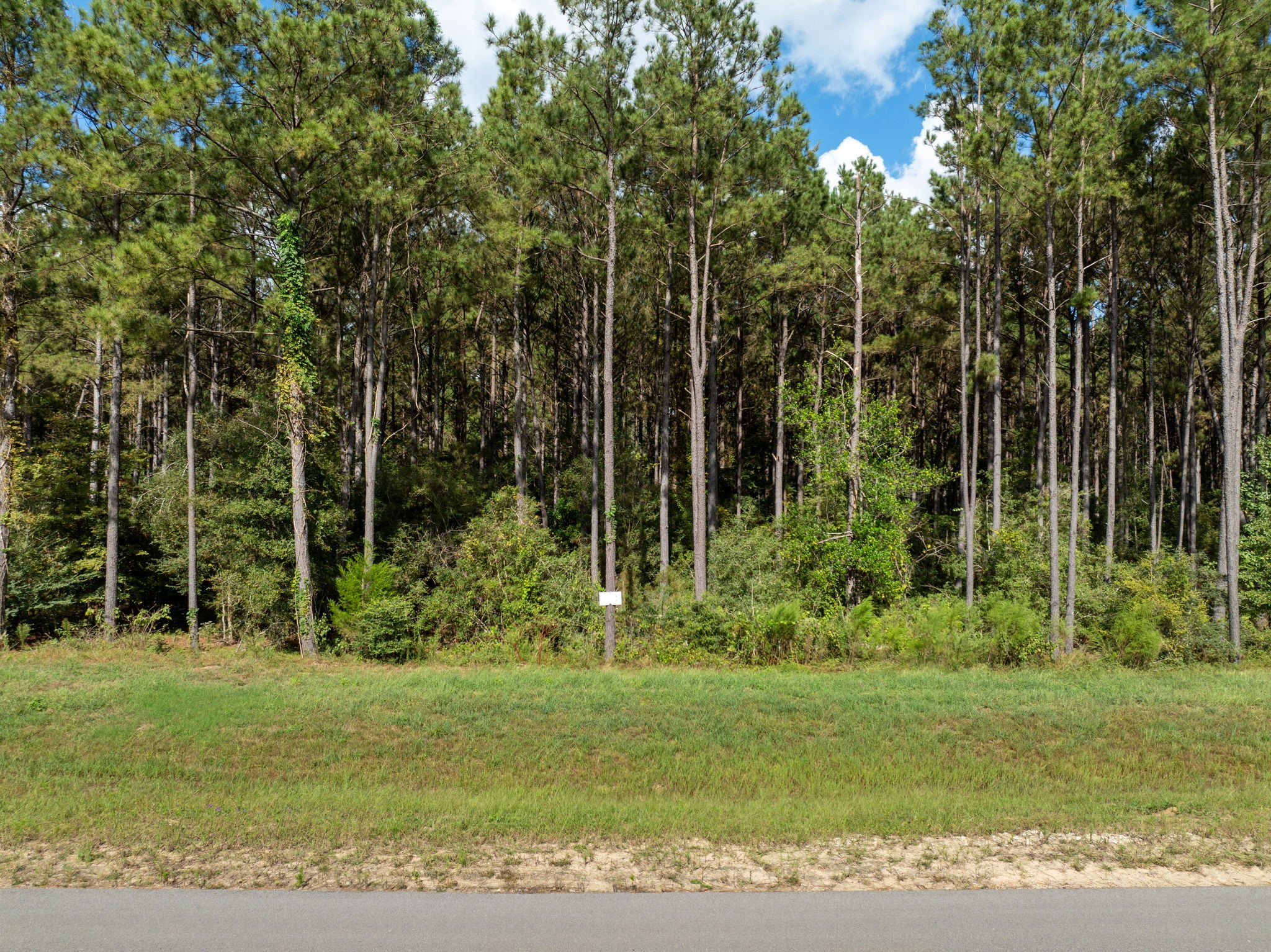 15427 Forest Grove Drive Property Photo 2
