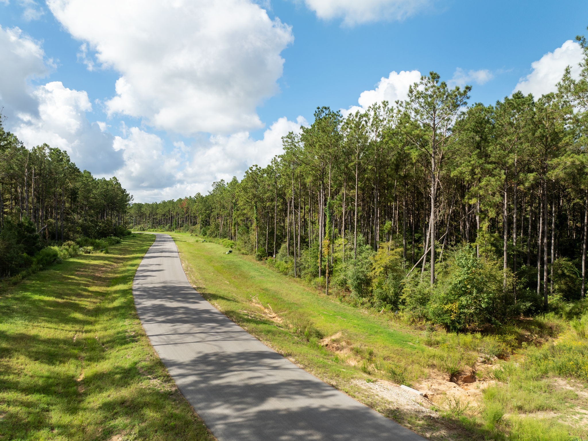 15427 Forest Grove Drive Property Photo 8