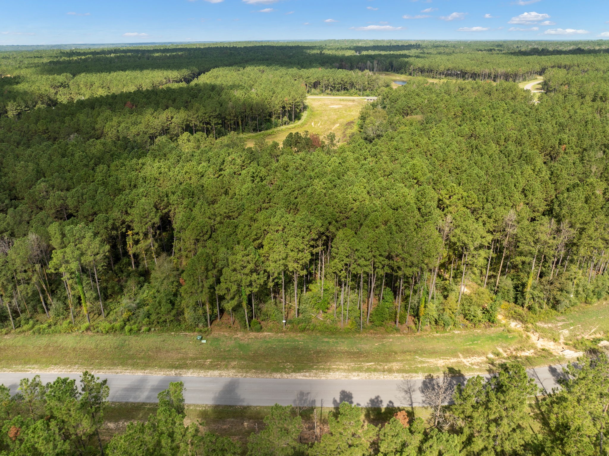 15427 Forest Grove Drive Property Photo 11
