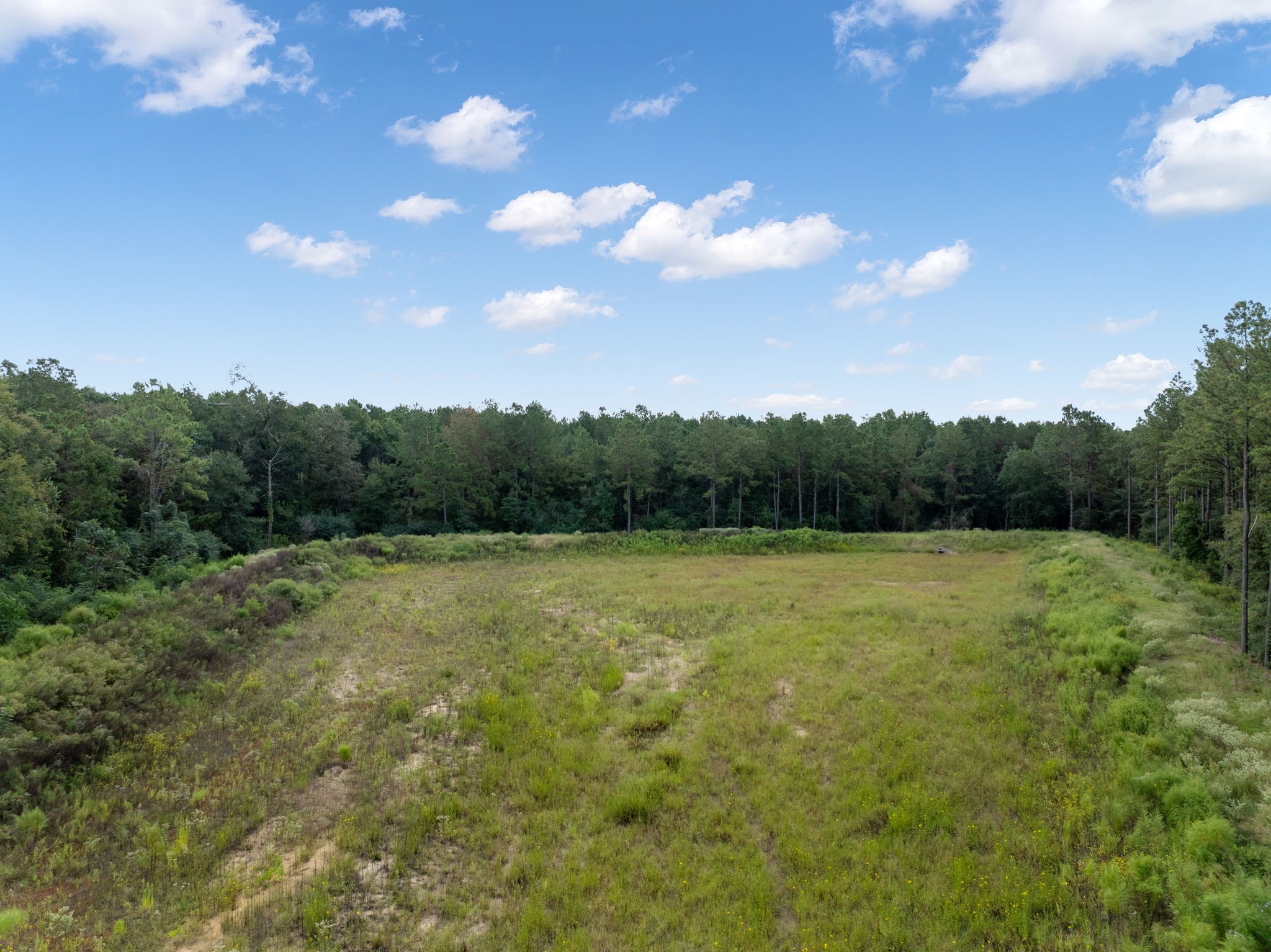 15427 Forest Grove Drive Property Photo 31