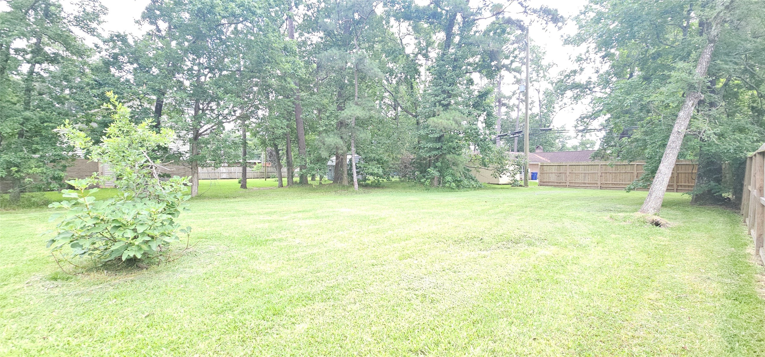 1810 Round Wind Trail Property Photo 2