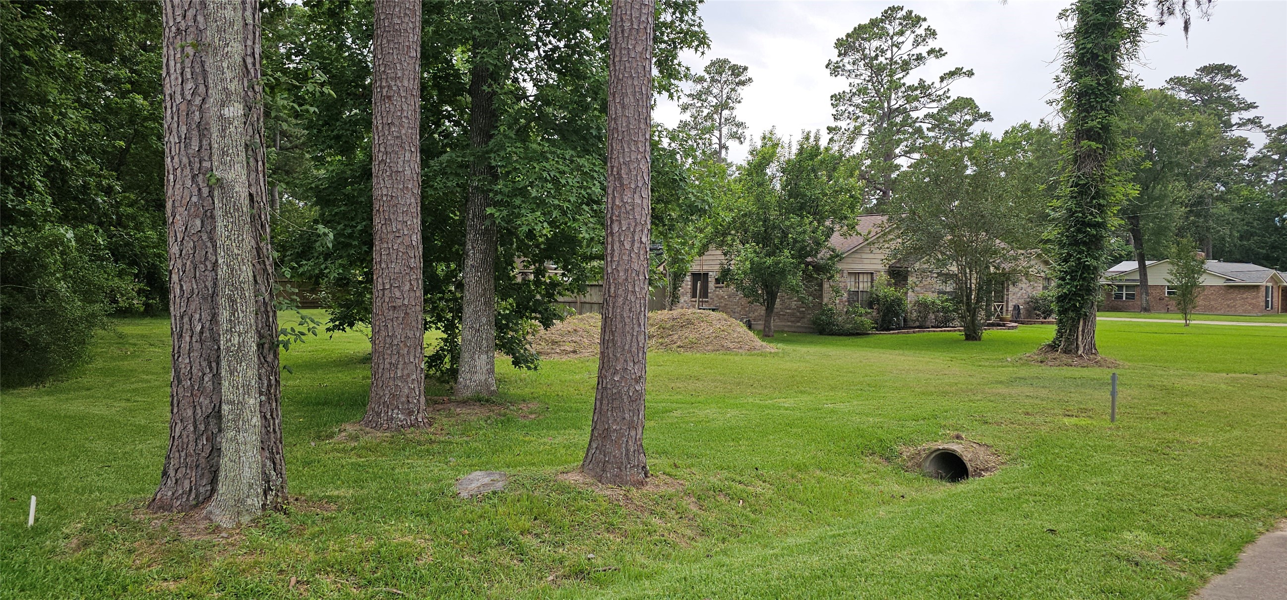 1810 Round Wind Trail Property Photo 3