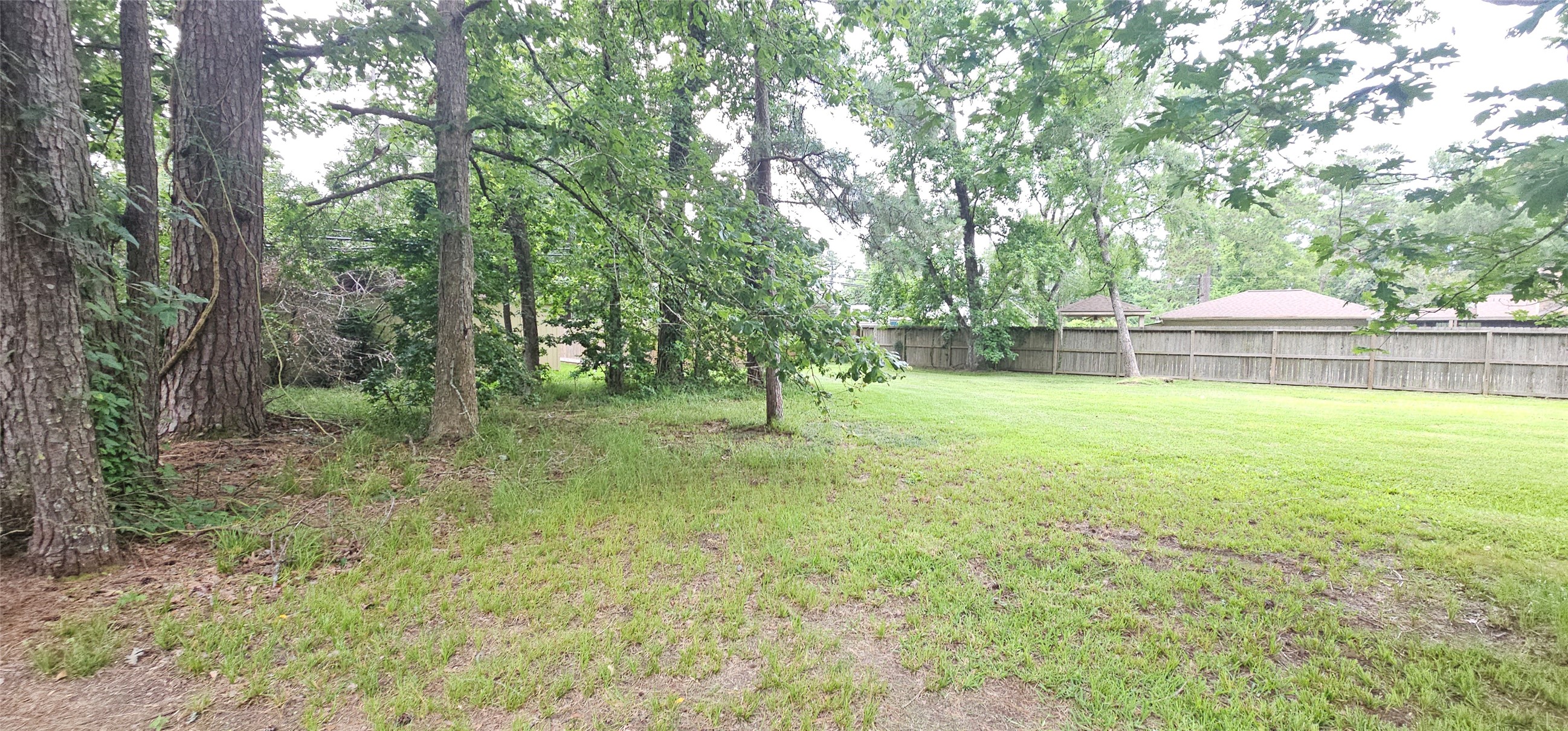 1810 Round Wind Trail Property Photo 5