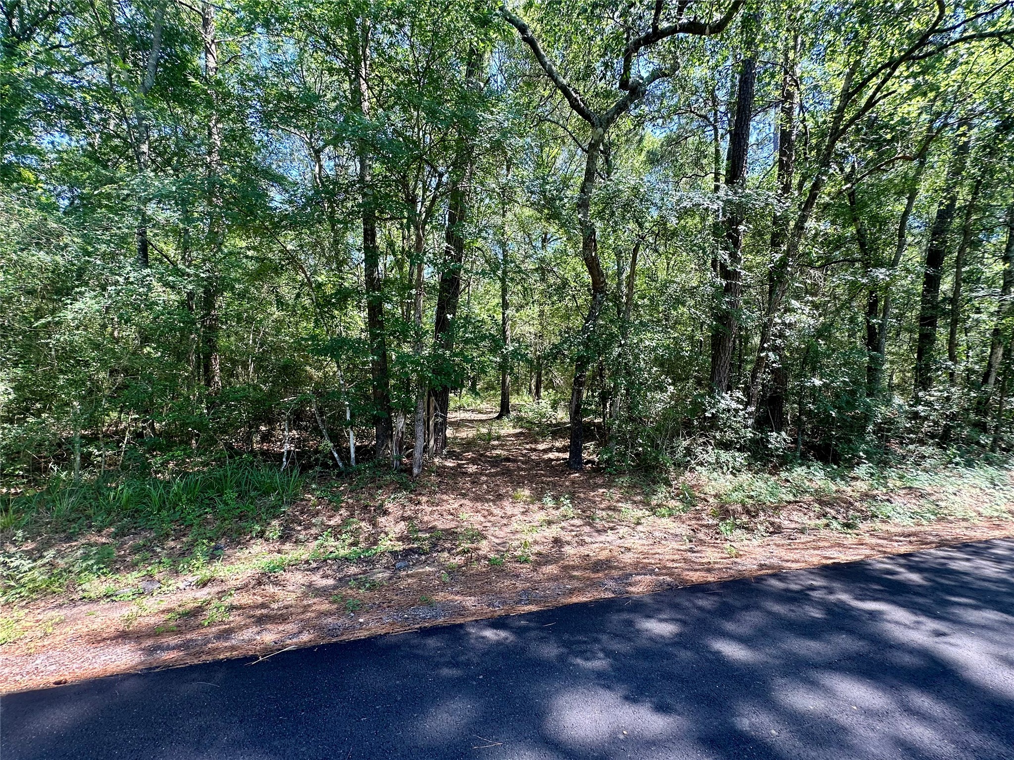 0 Taliaferro Road Property Photo 1