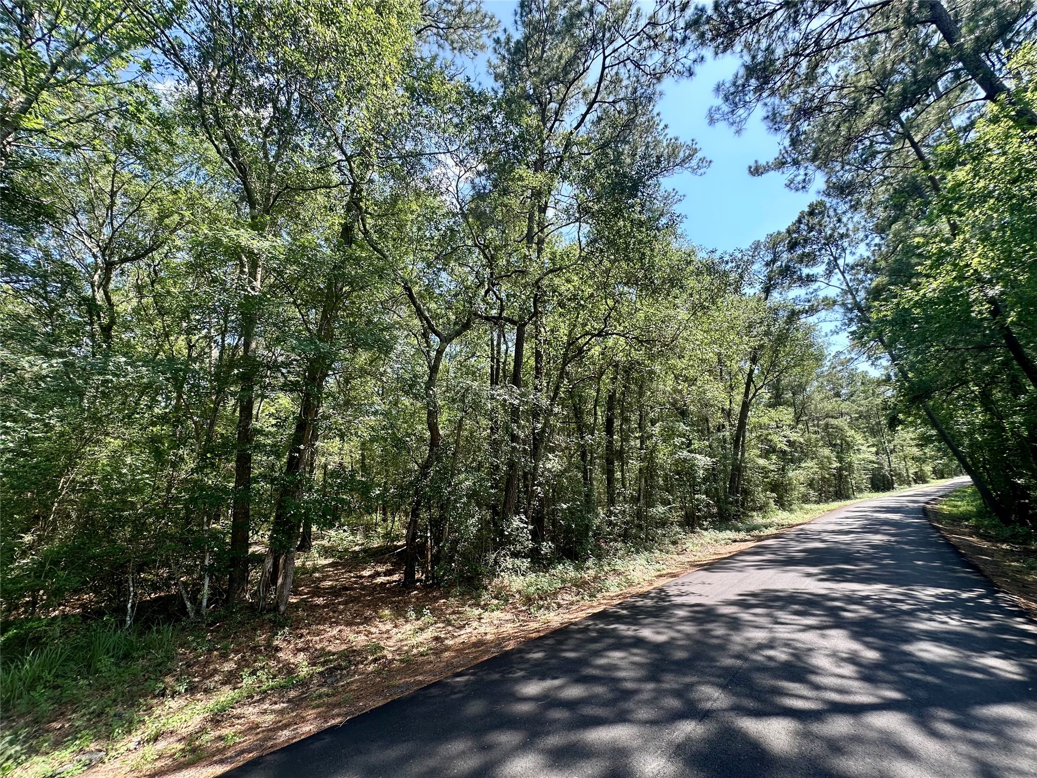 0 Taliaferro Road Property Photo 2