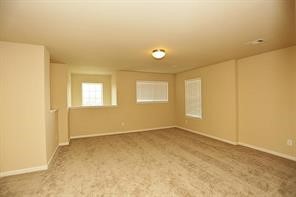 10011 Cobbs Cove Lane Property Photo 11