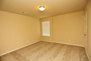 10011 Cobbs Cove Lane Property Photo 15