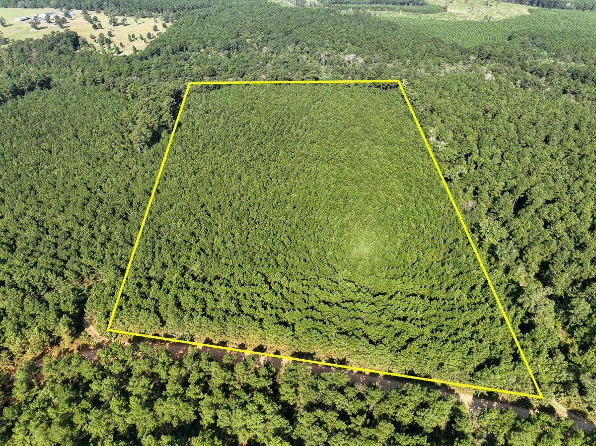 0 Shady Grove Rd Property Photo 1
