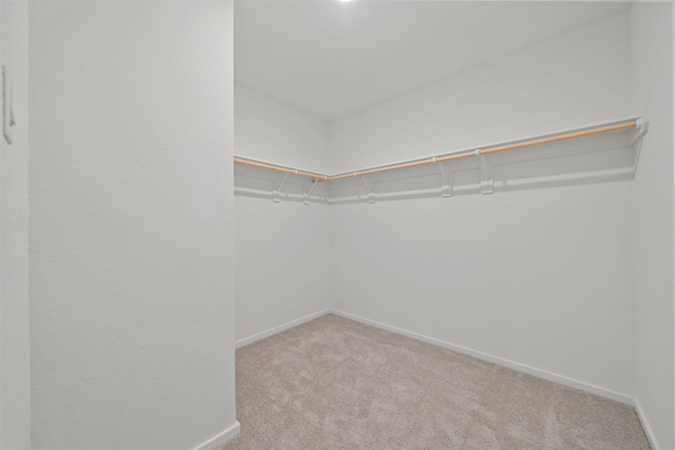 29031 Great Flatland Trail Property Photo 23