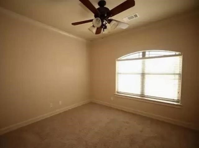 7 Stonebrook Court Property Photo 14