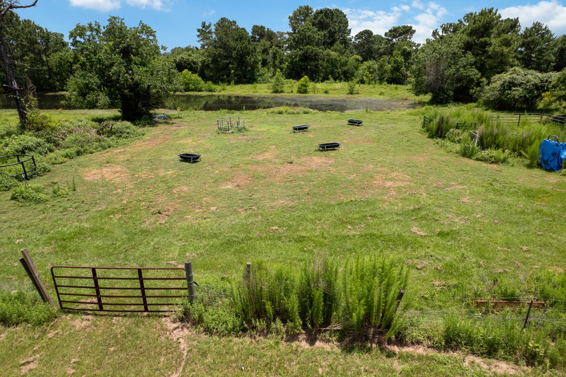 16631 Fm 2920 Road Property Photo 13