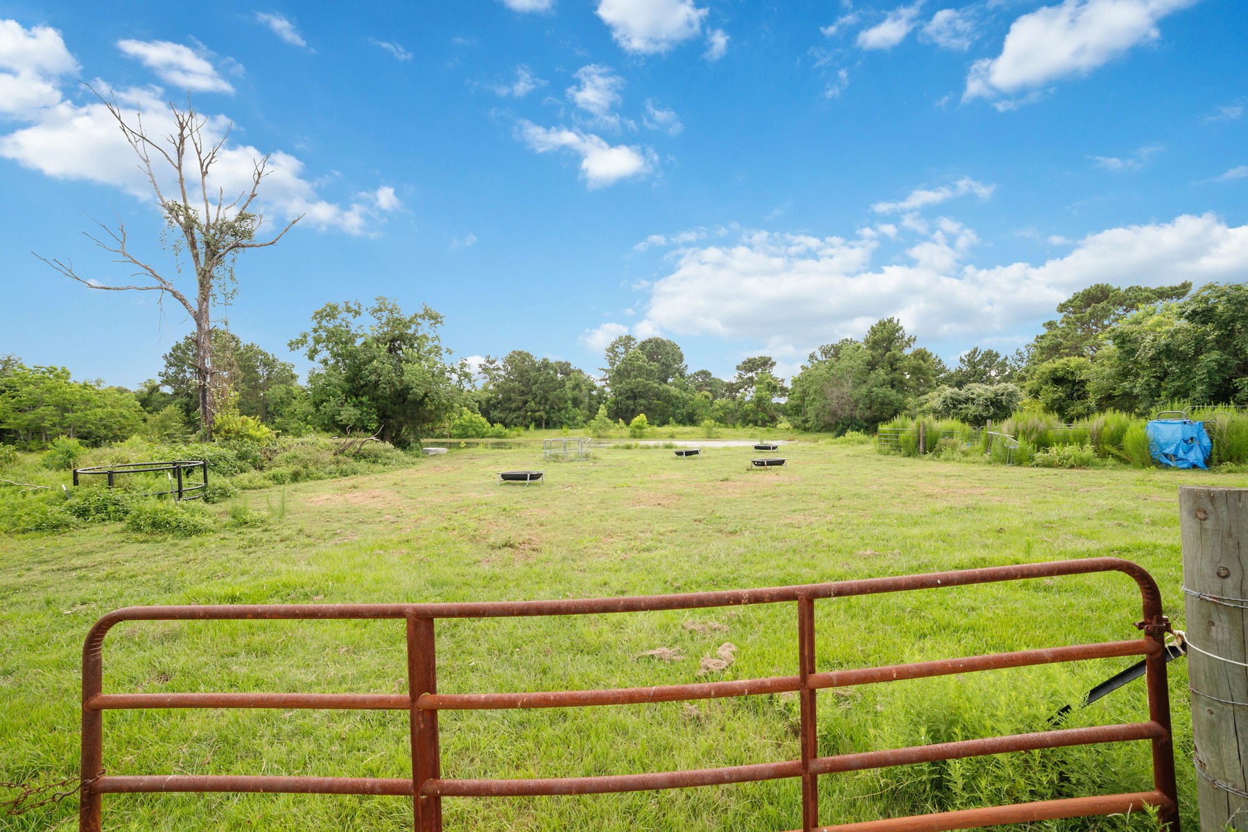 16631 Fm 2920 Road Property Photo 14