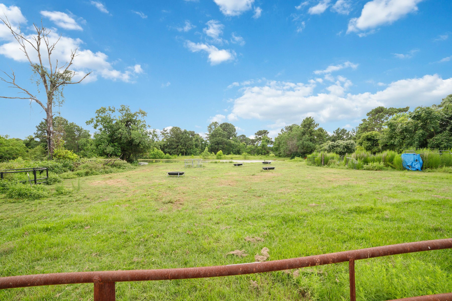 16631 Fm 2920 Road Property Photo 15