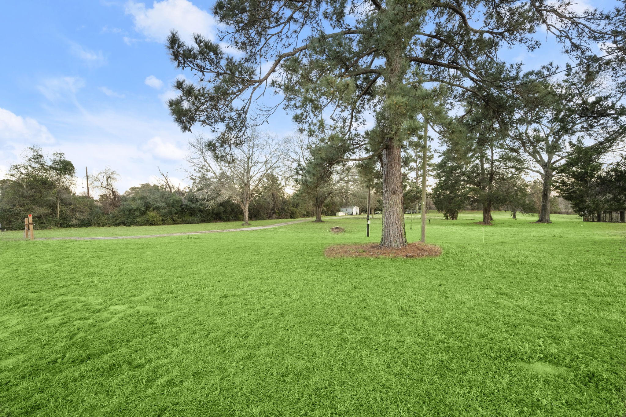 16631 Fm 2920 Road Property Photo 27