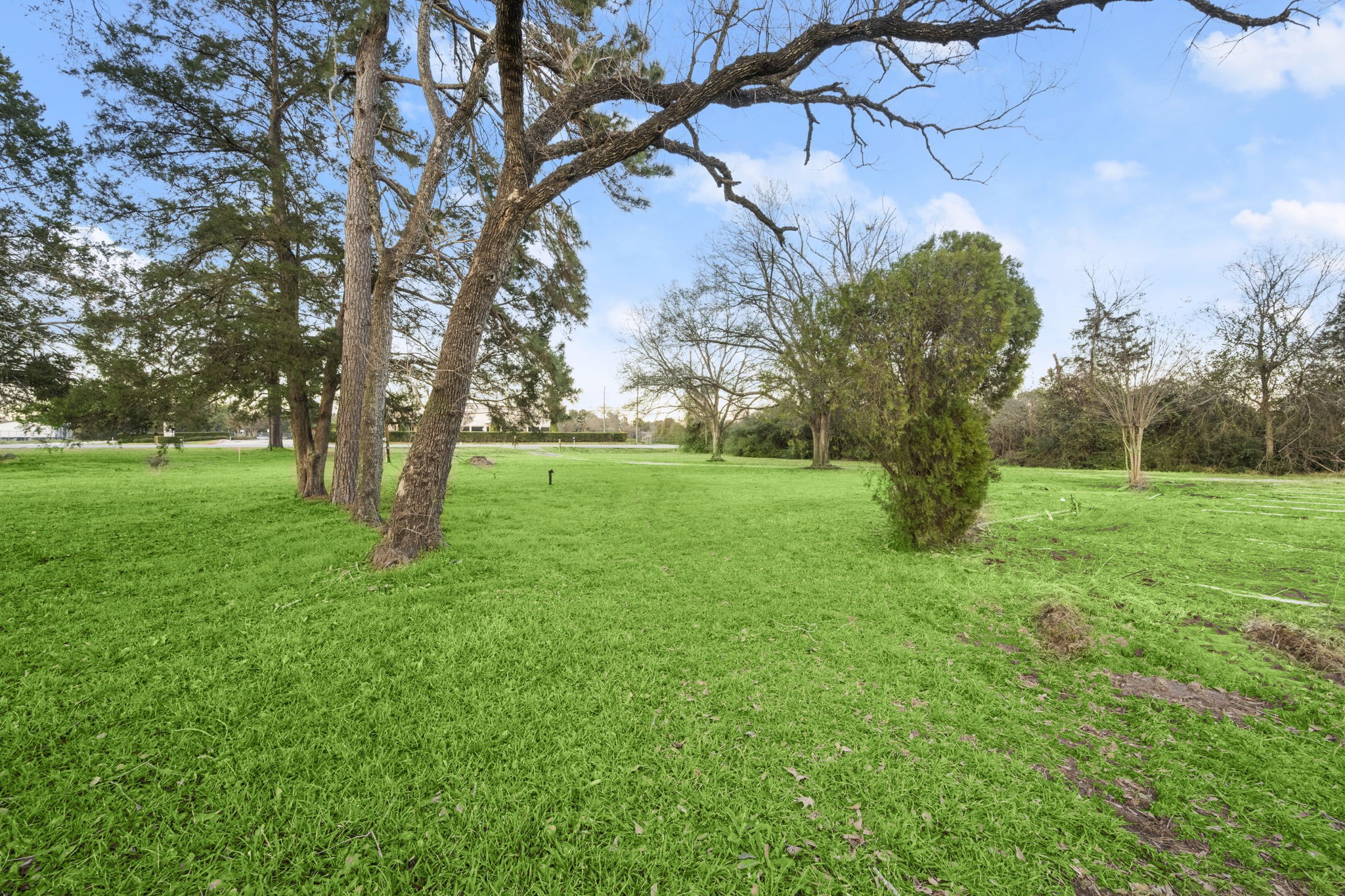 16631 Fm 2920 Road Property Photo 28